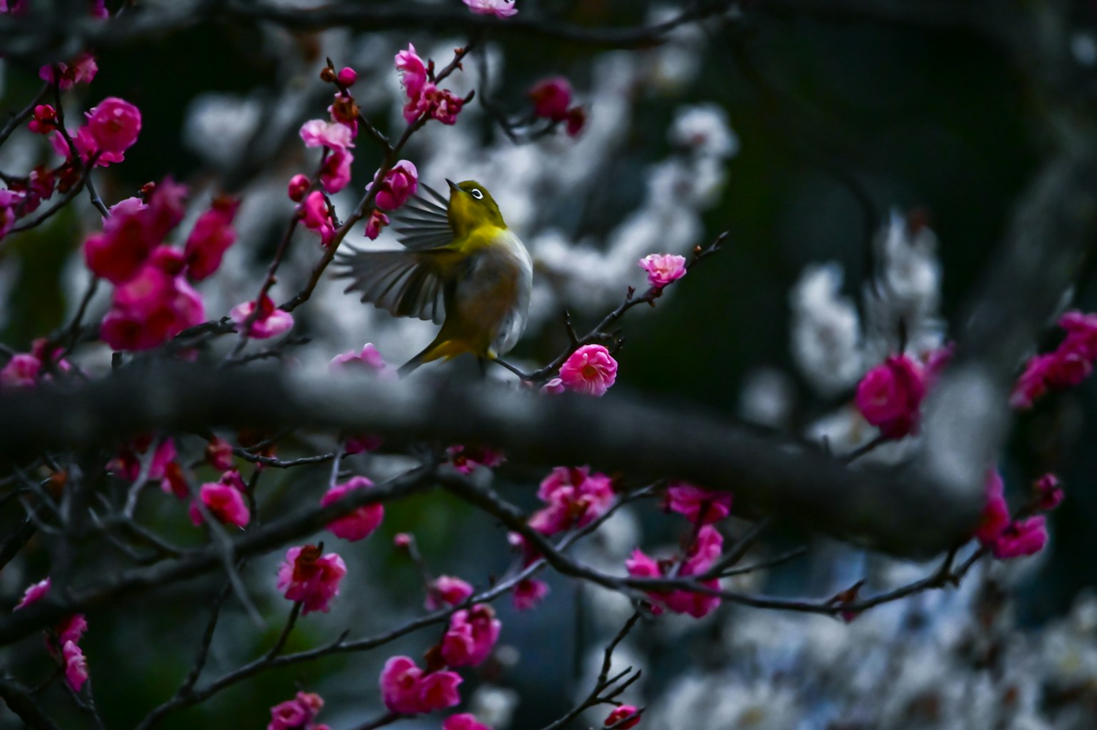 2025-03-encounter-with-camera-image-19