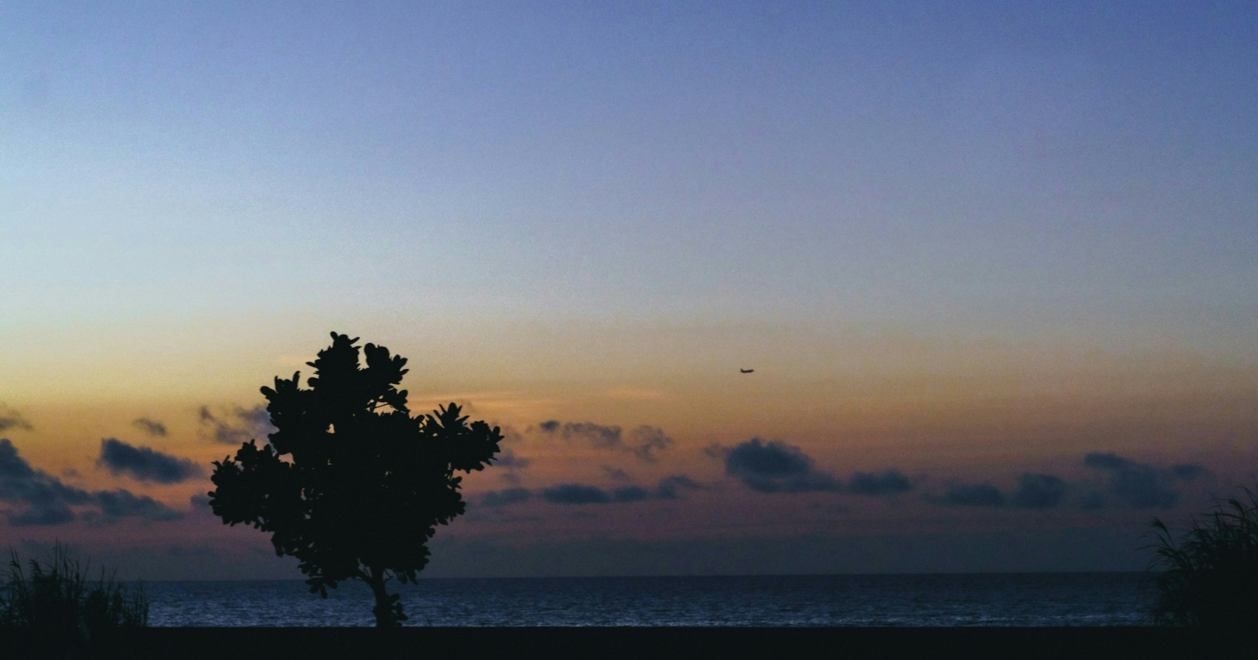 Echoes of Sound in Stillness: Infusing Photographs with a Sense of Presence | Knowledge #468