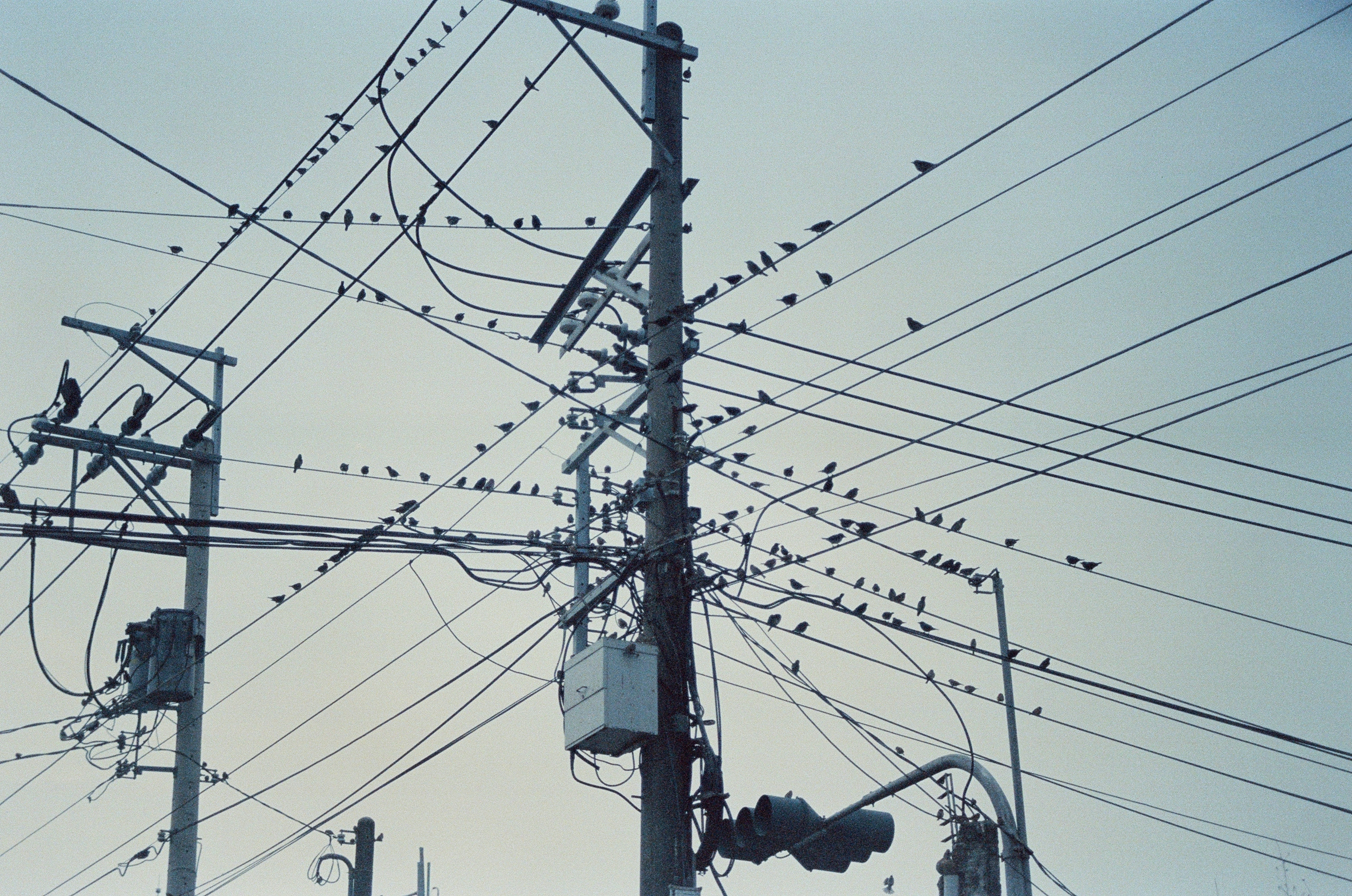 2026-07-find-new-pieces-film-image-22