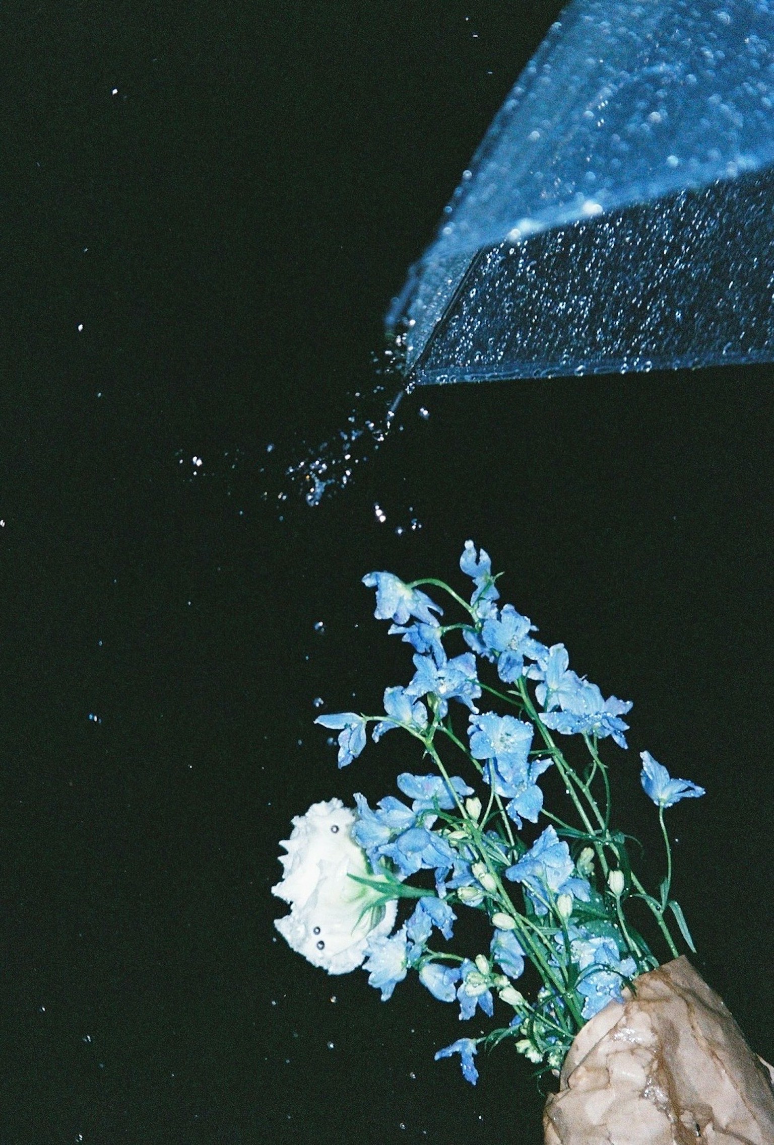 2024-06-rainy-days-in-photography-image-3