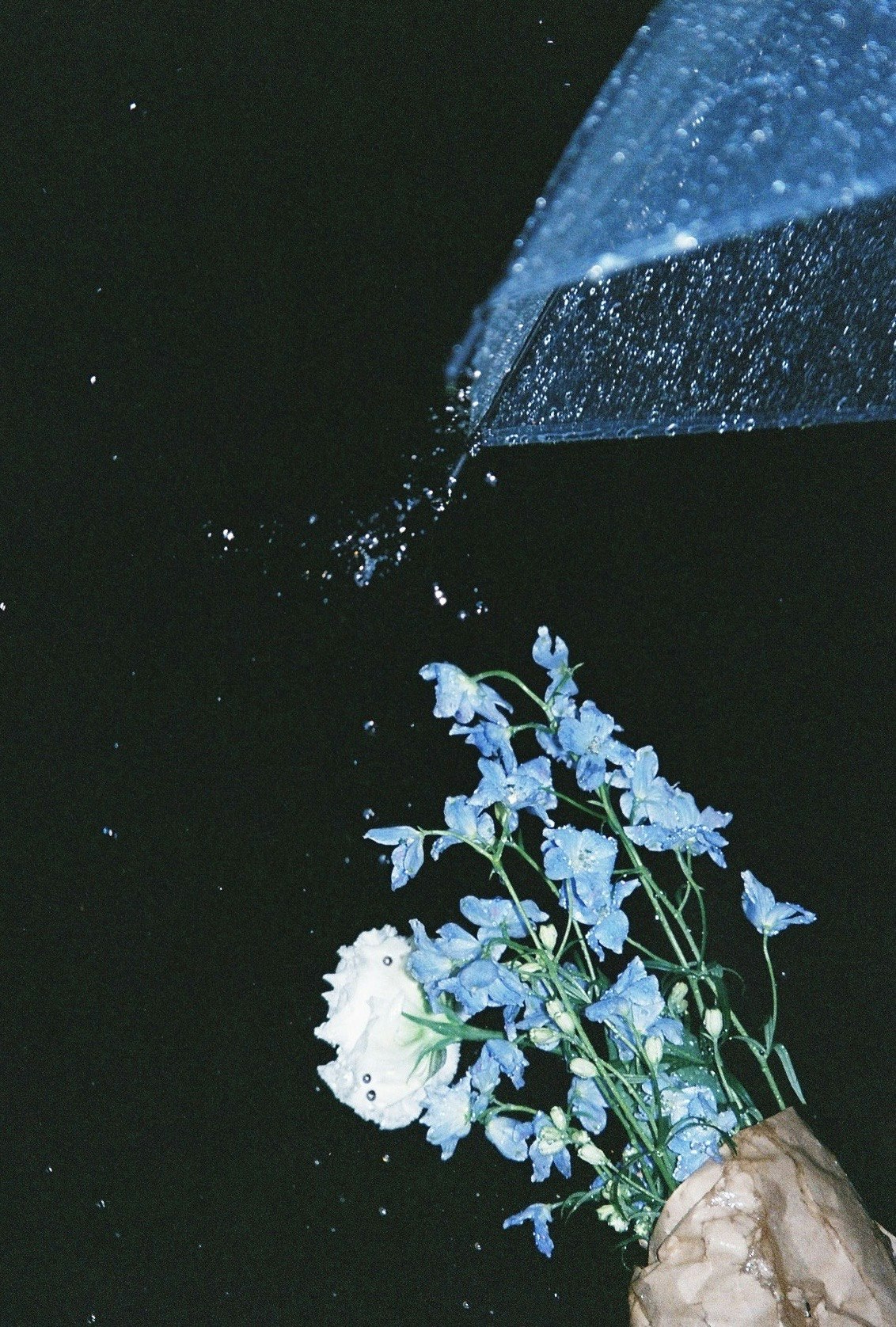 2024-06-rainy-days-in-photography-image-3