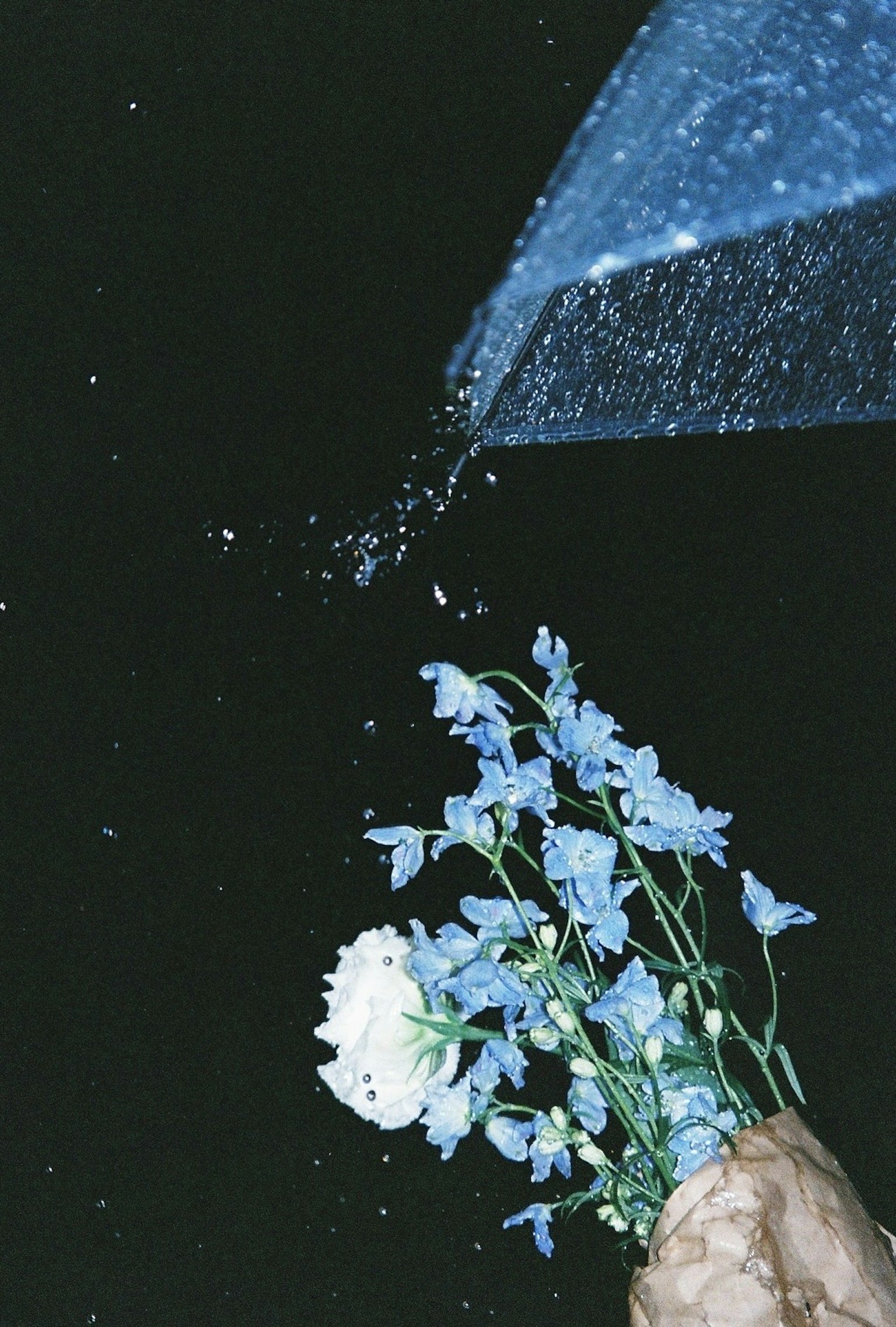 2024-06-rainy-days-in-photography-image-3