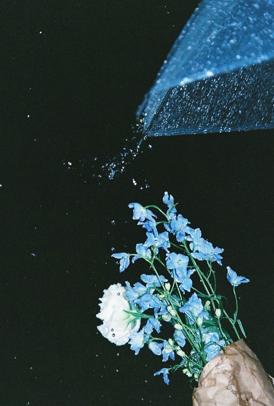 2024-06-rainy-days-in-photography-image-3
