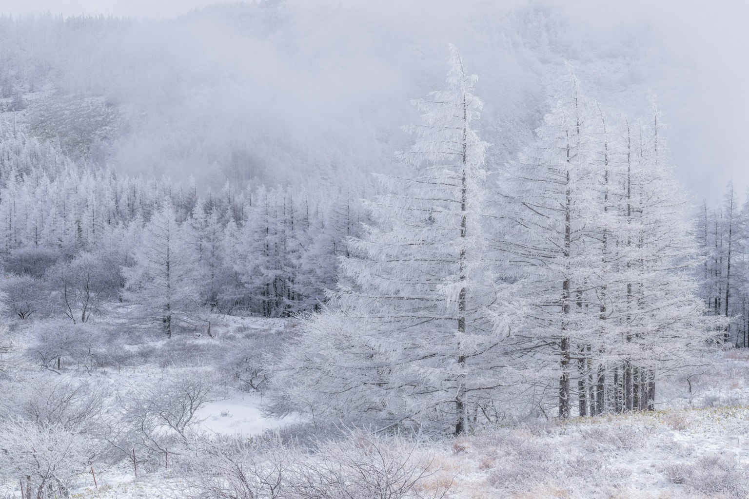 2025-01-january-photography-subjects-image-25