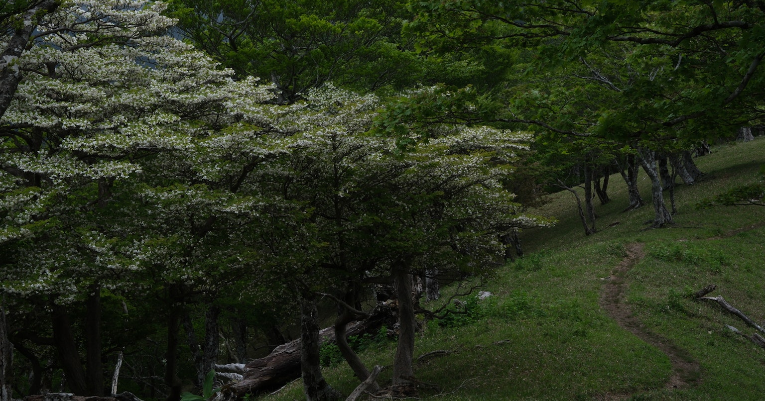 2024-05-release-may-16-cover-image