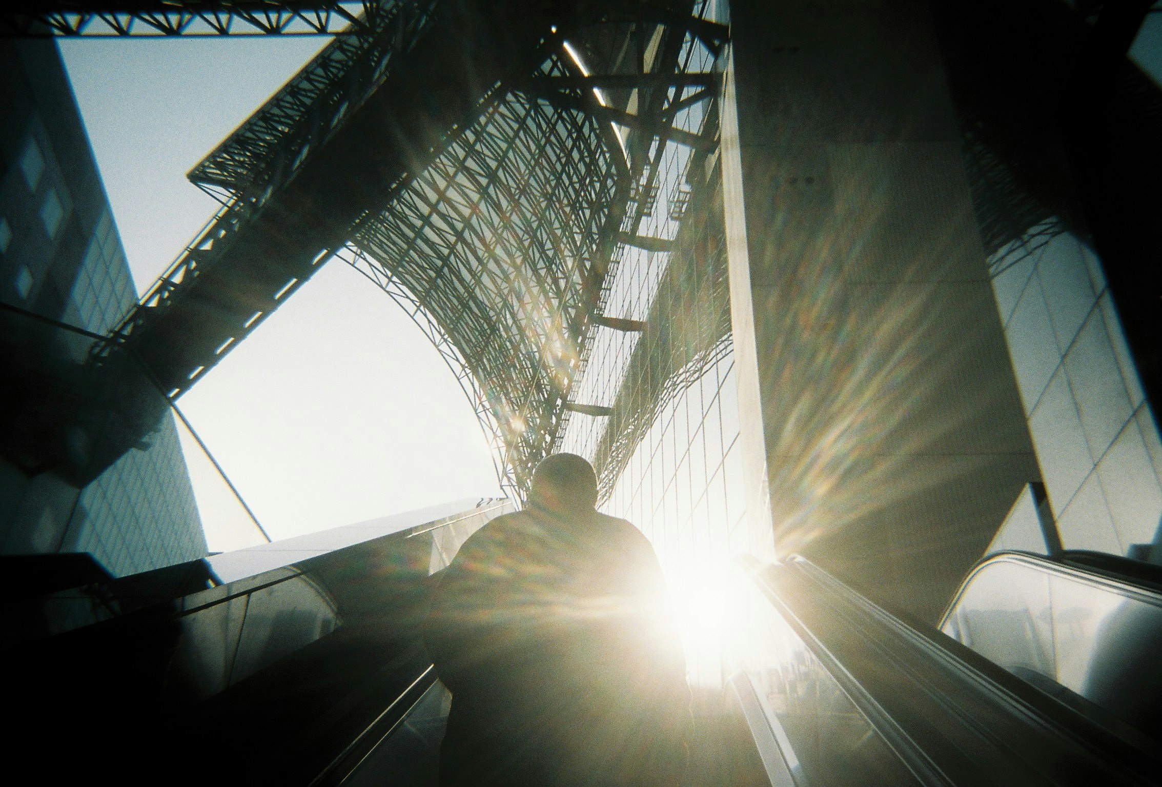 2025-11-magic-of-backlighting-image-5