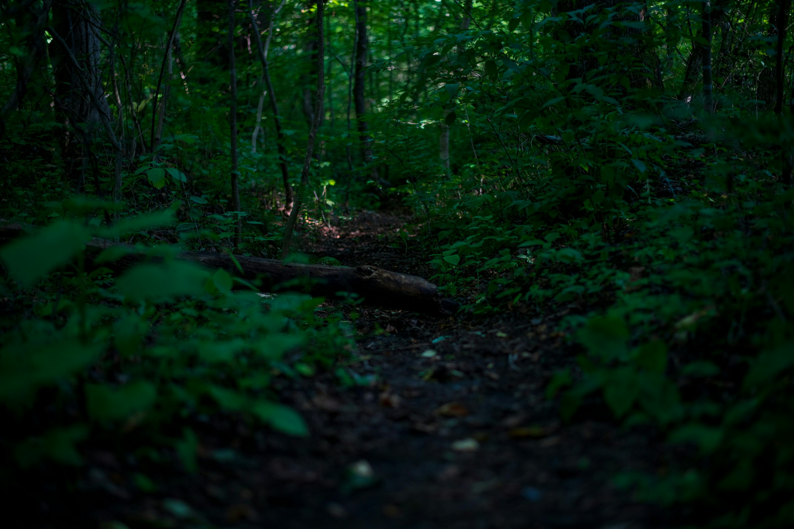 2026-03-reading-the-trail-award-image-8