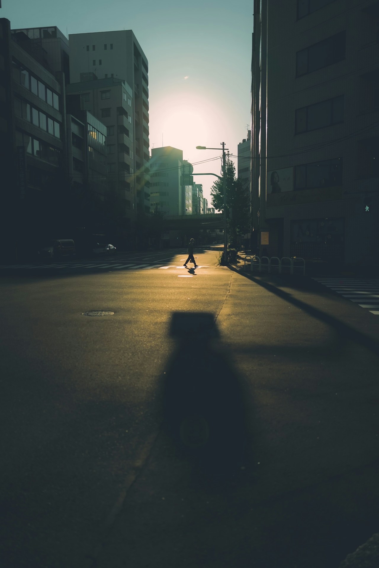 Image by hhhiroooki