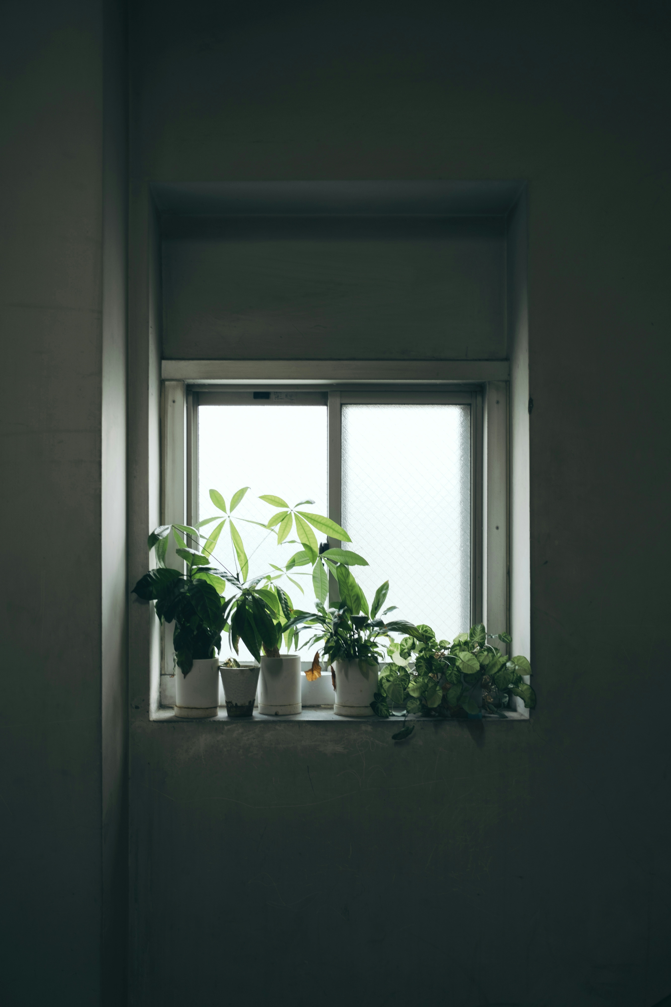 Foto di 服部まいこ