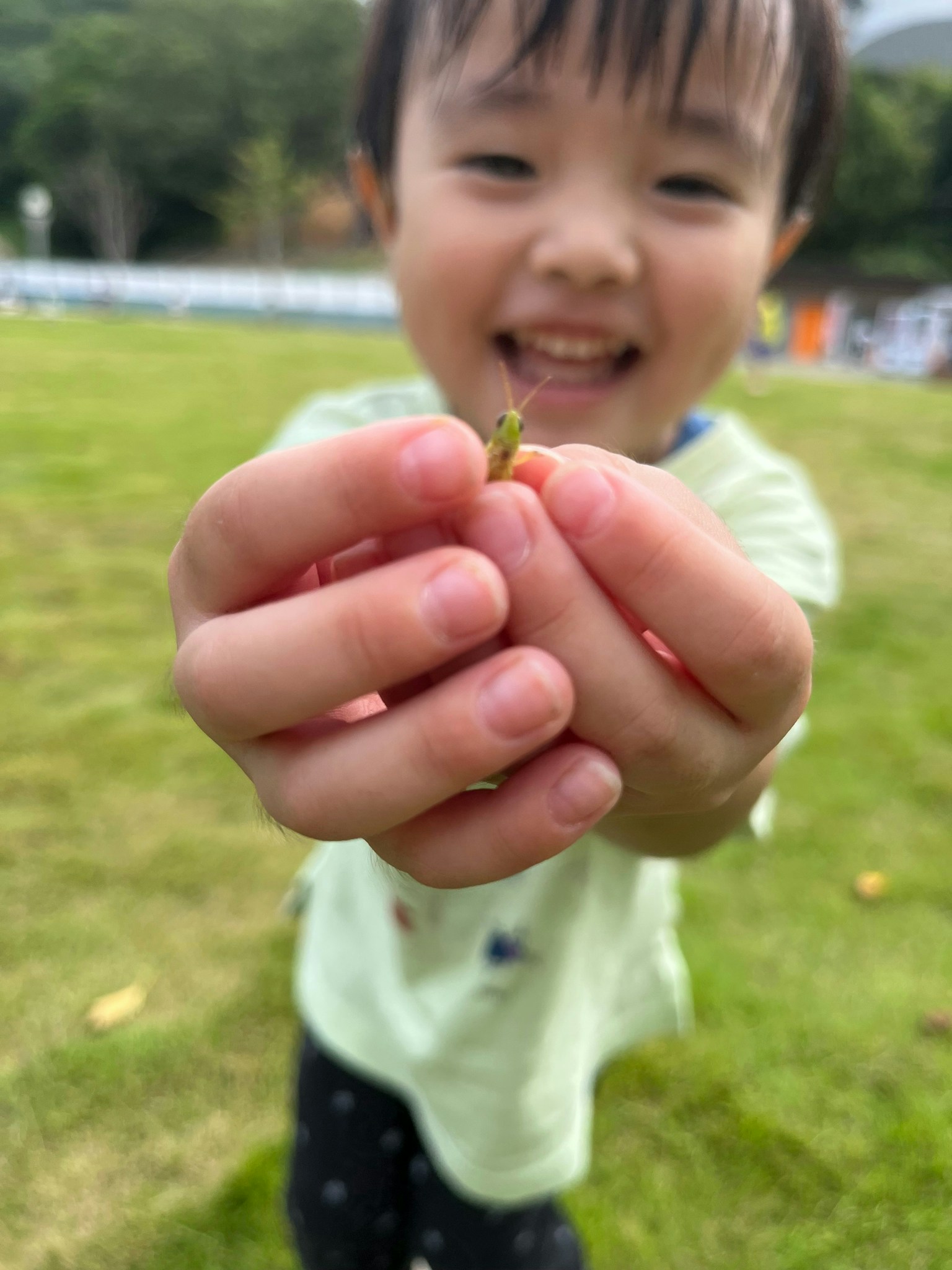 2025-12-parks-vibes-award-image-33