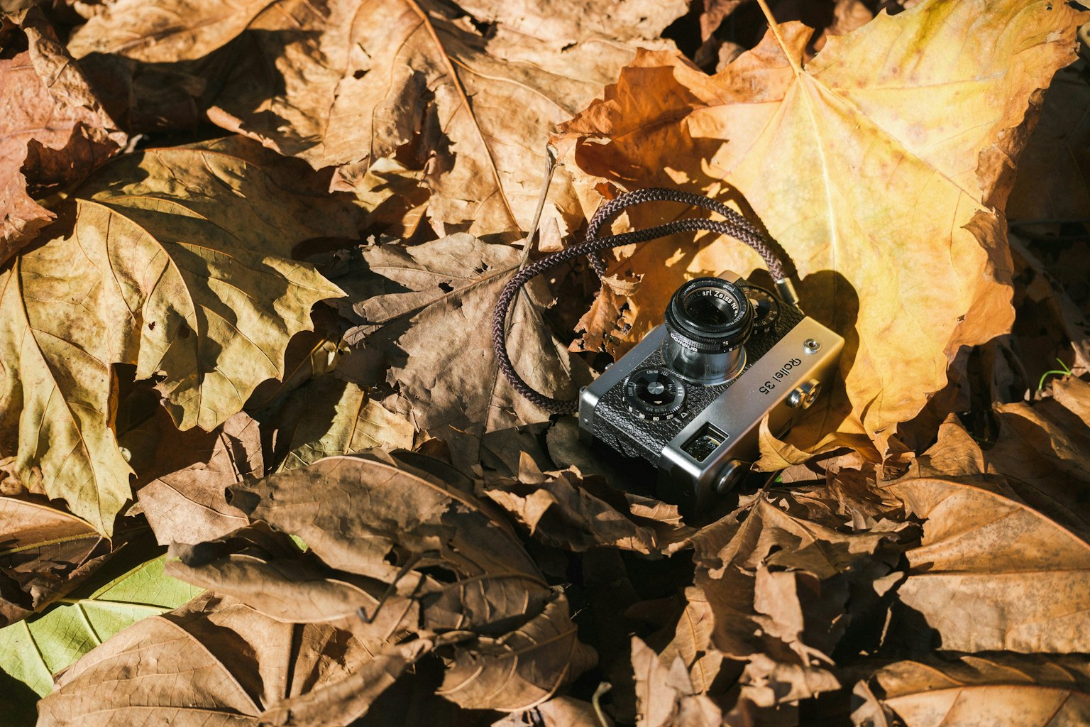 2025-05-if-your-camera-stolen-image-2