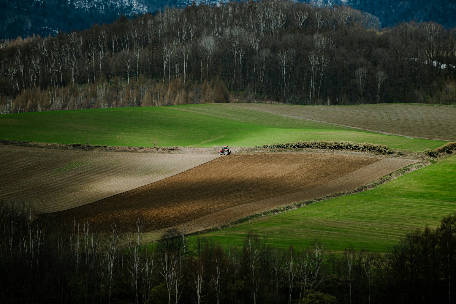 2024-10-ai-camera-market-growth-future-image-10