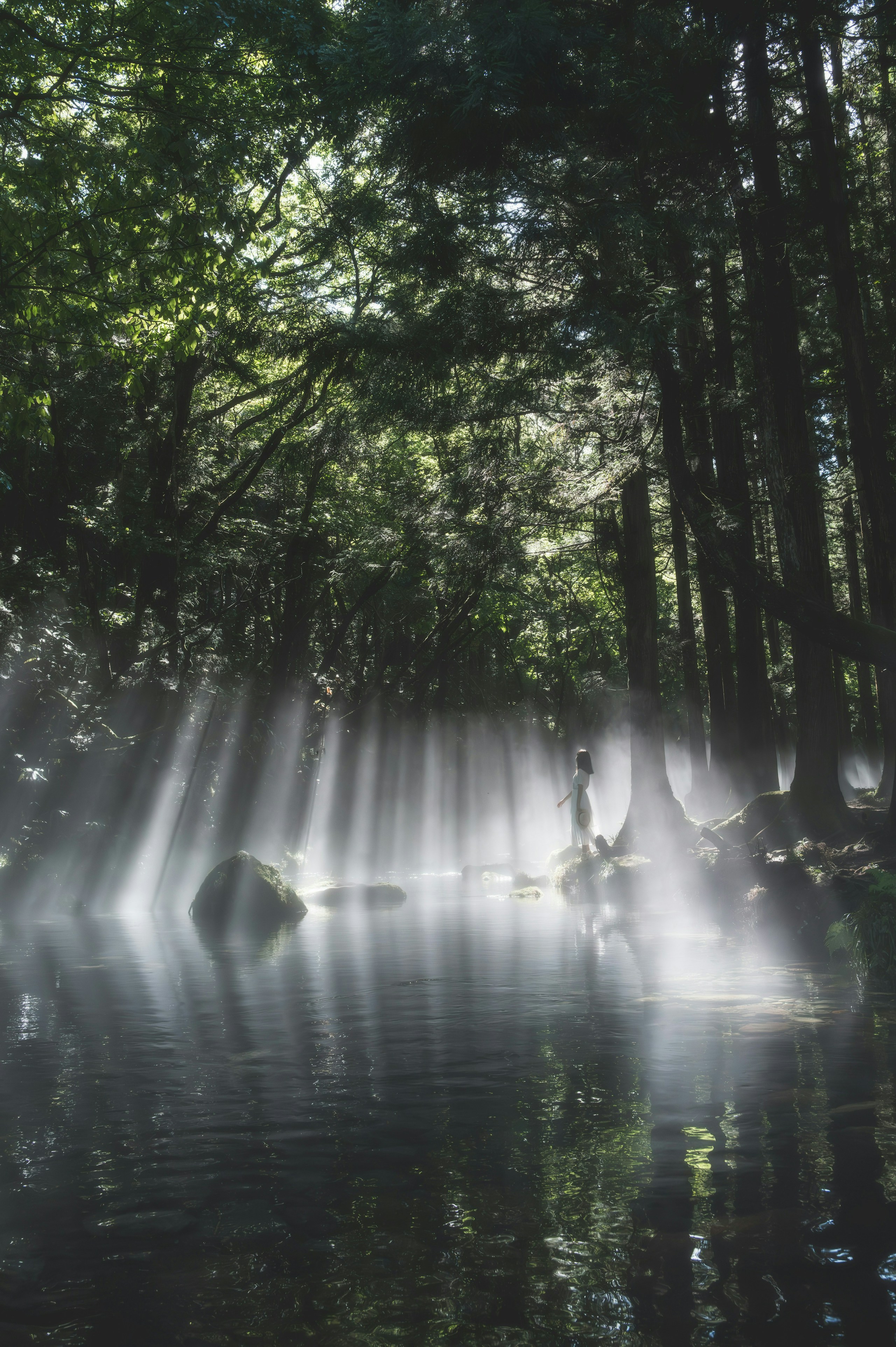 2025-02-fog-photography-image-4