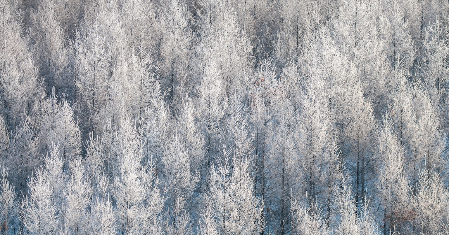 2026-02-february-diary-cover-image