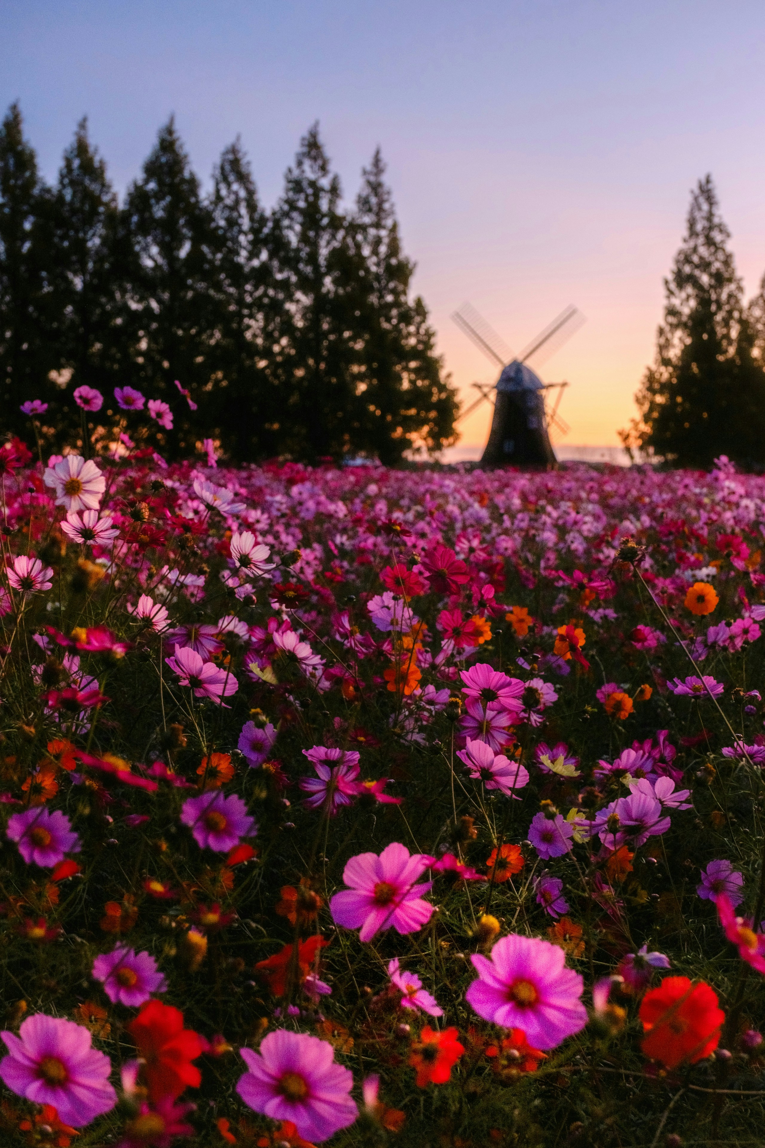 2025-12-parks-vibes-award-image-12