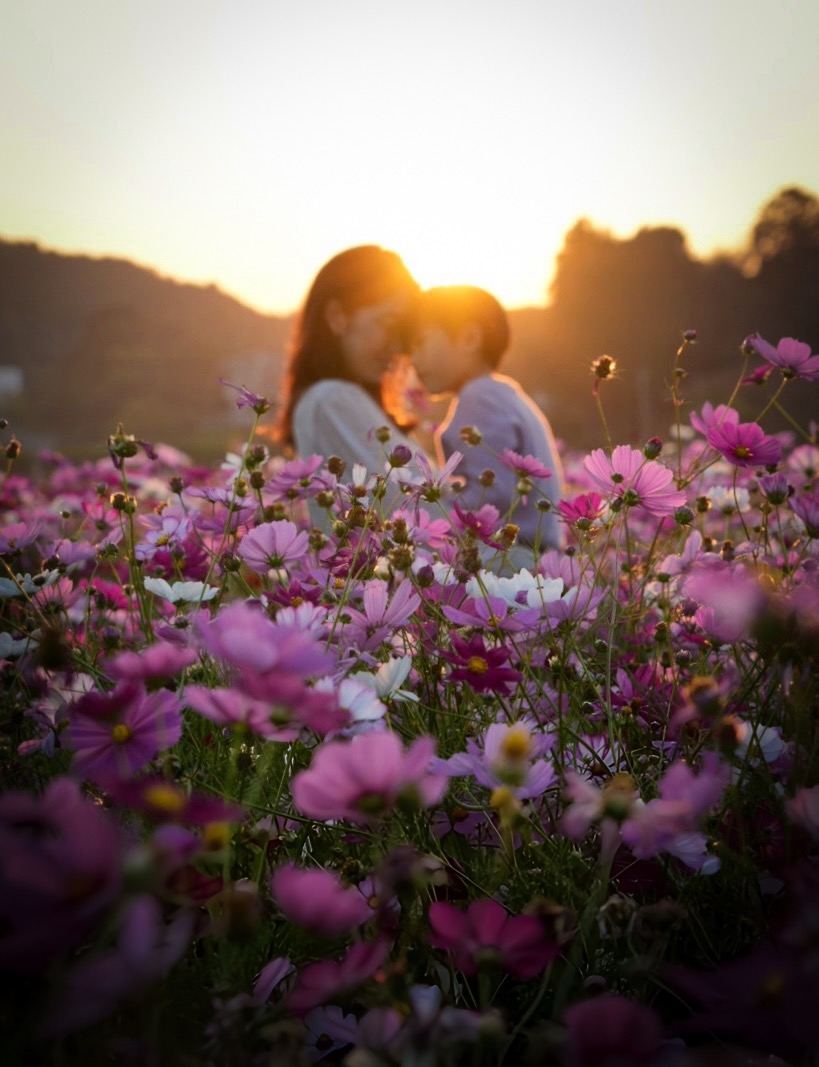 2026-09-autumn-cosmos-scenes-image-12
