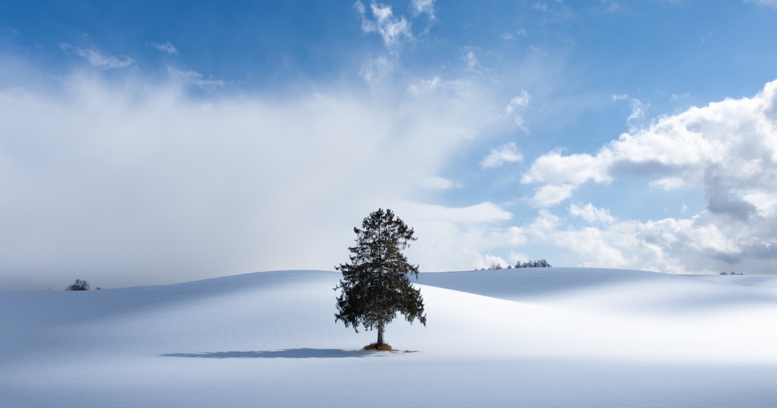 2024-06-negative-space-cover-image