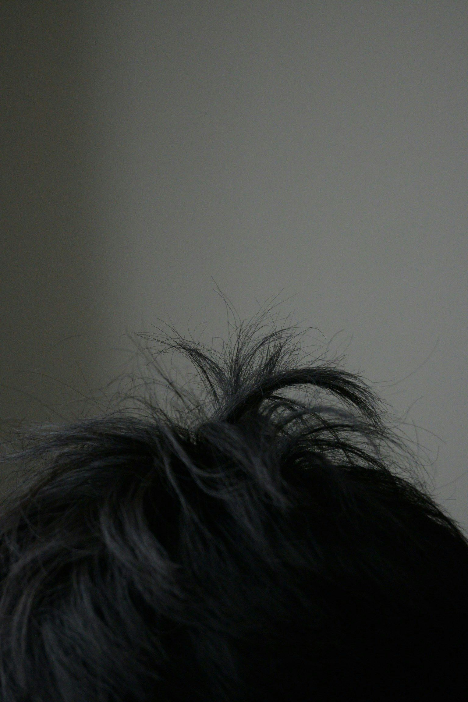 2025-11-photo-contest-pr-2-image-14