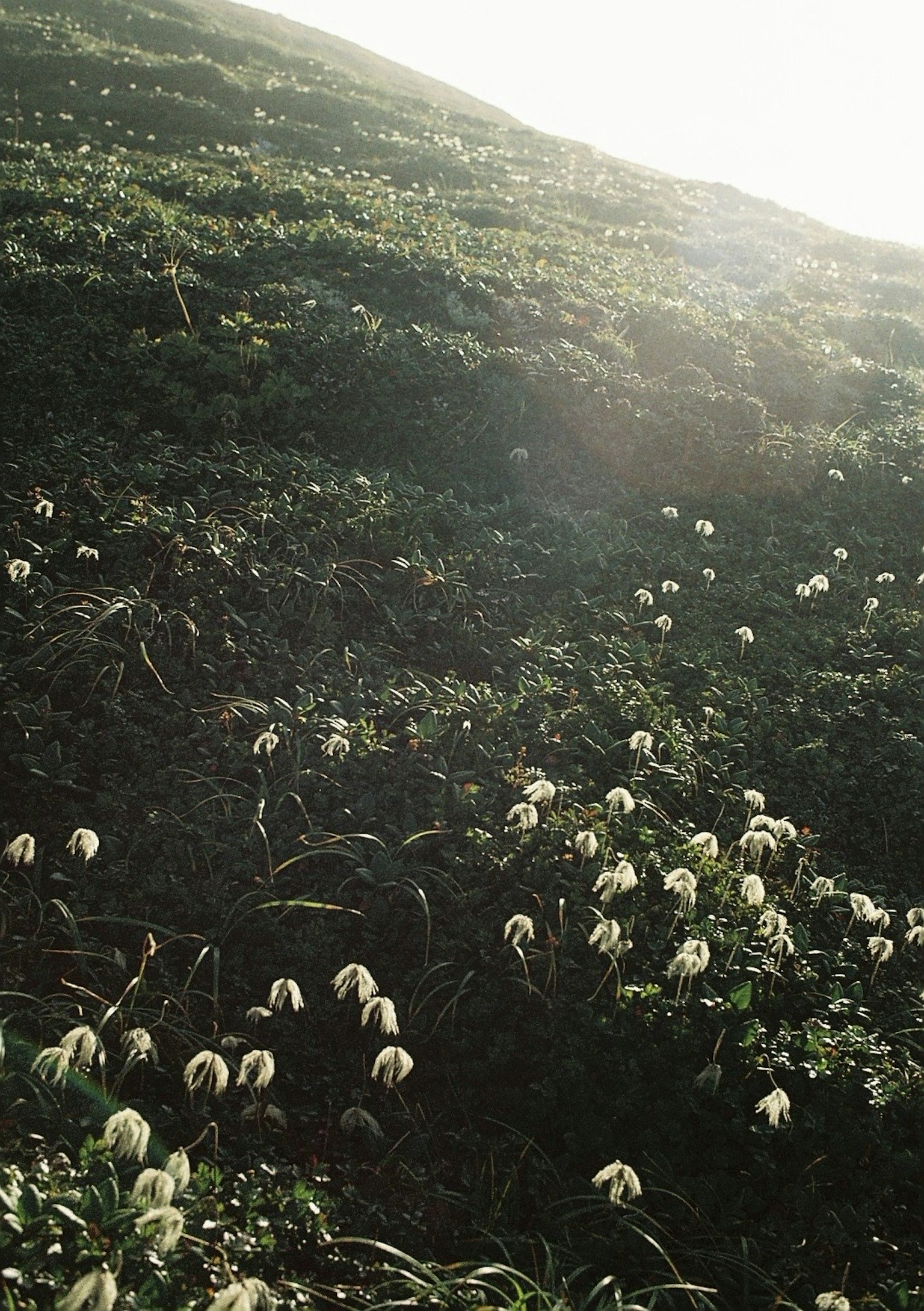 2024-09-vintage-camera-boom-analog-charm-image-4