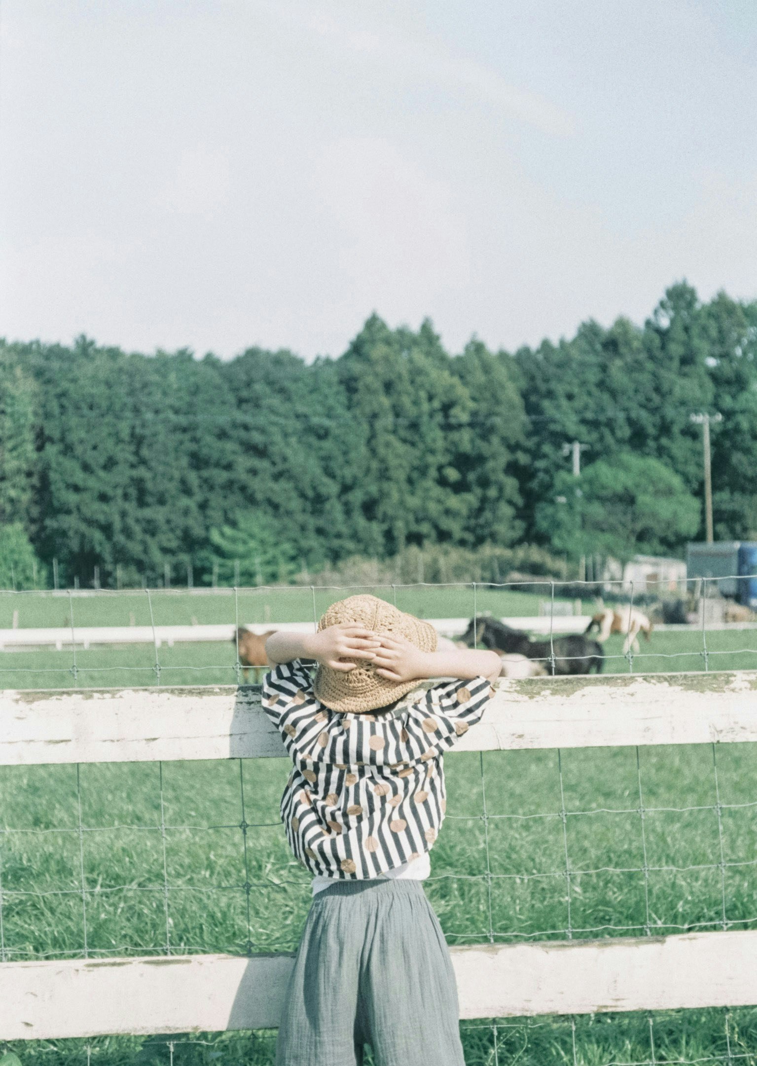 2025-07-spotlight-kohaku-tsubasamfg-uhe-image-14