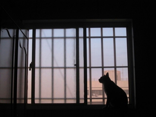 Foto: 林大哀
