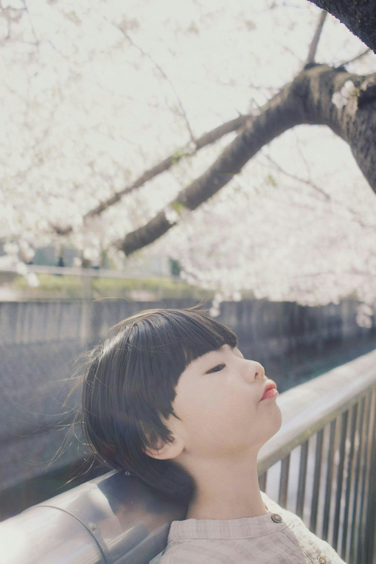 Photo by Aya
