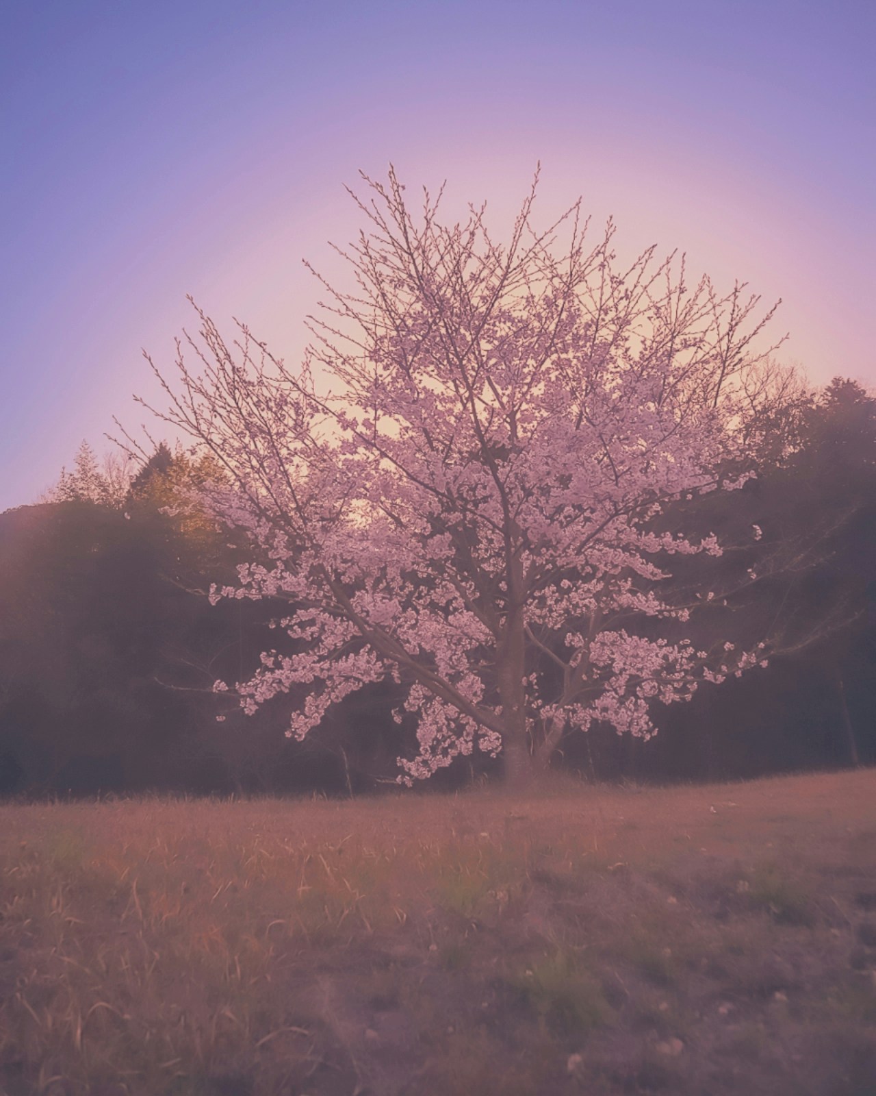 Image by eriko