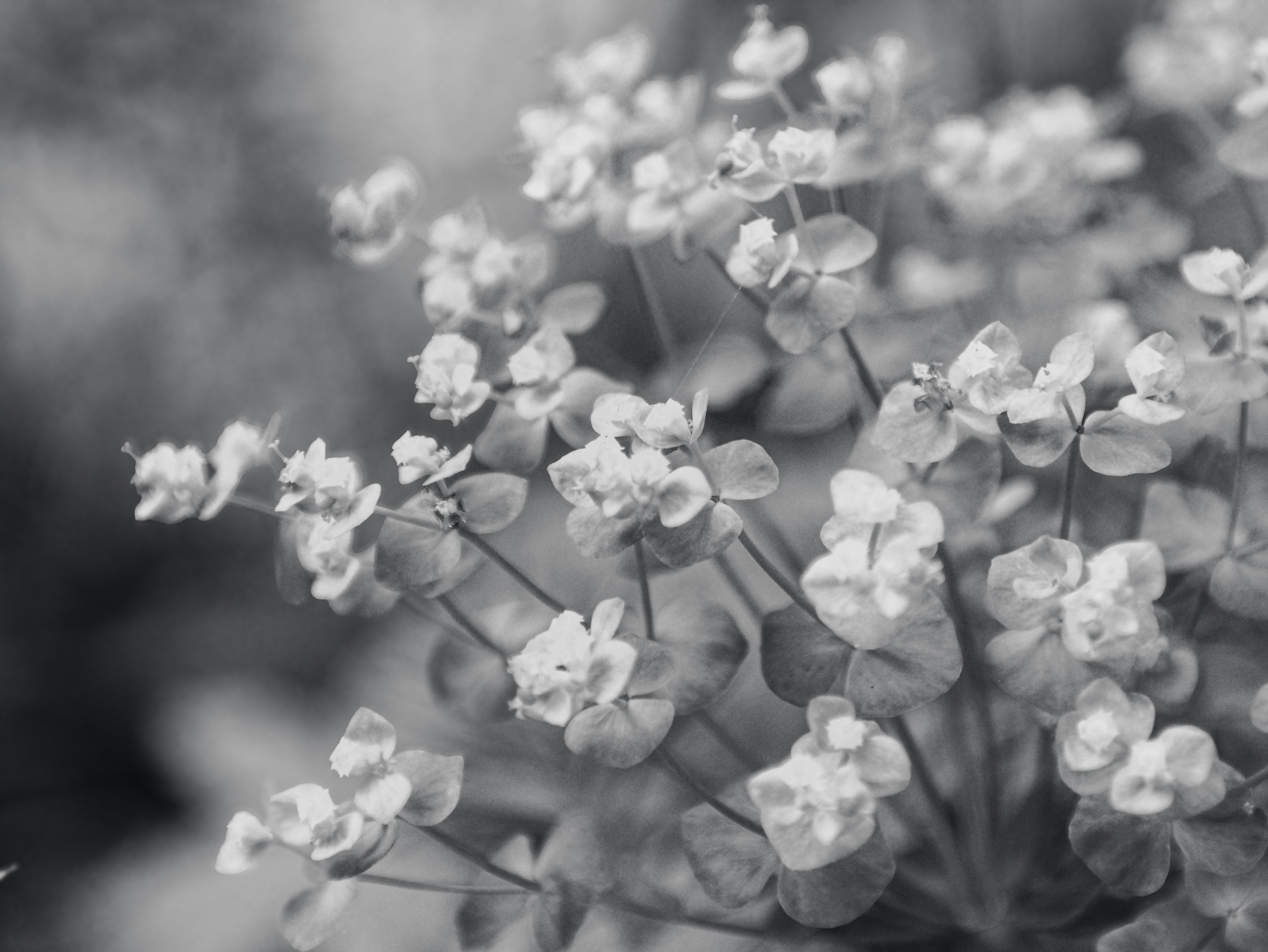 2025-12-monochrome-cover-image