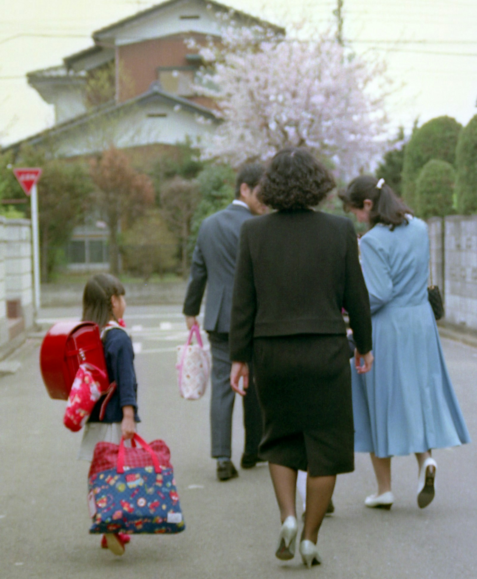 2025-04-spring-image-6
