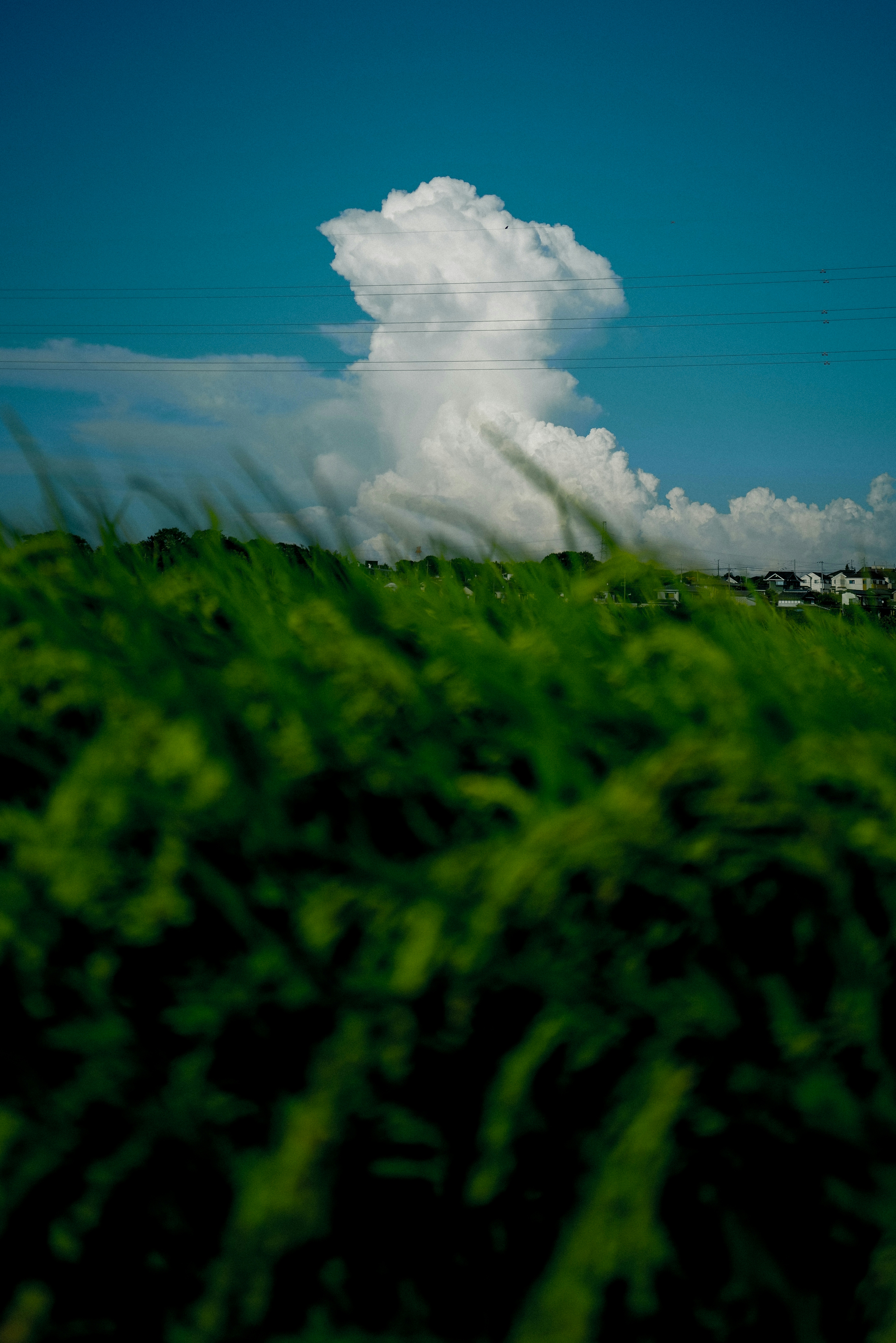 2026-08-reading-cloud-shapes-image-9
