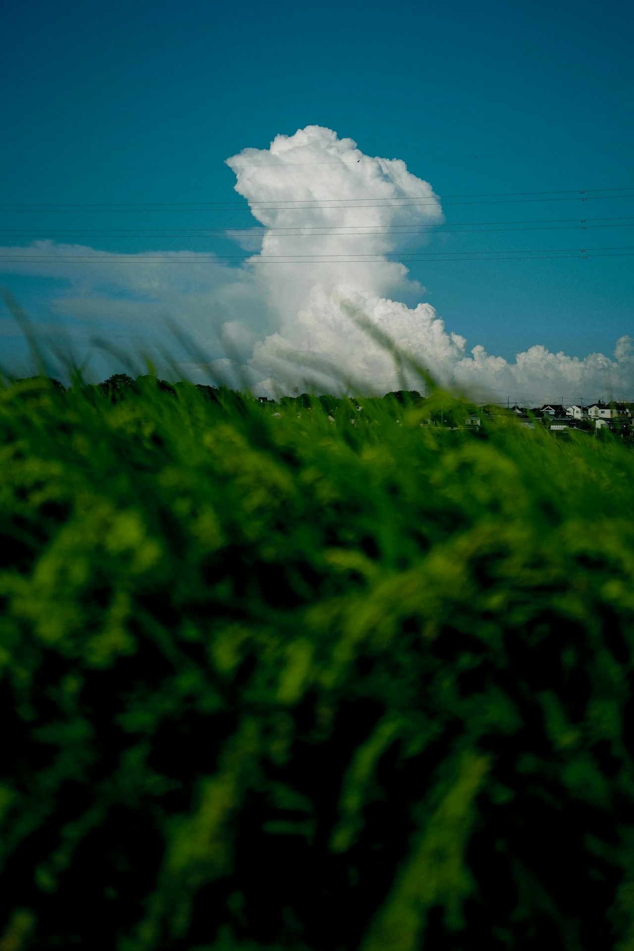 Photo by hhhiroooki