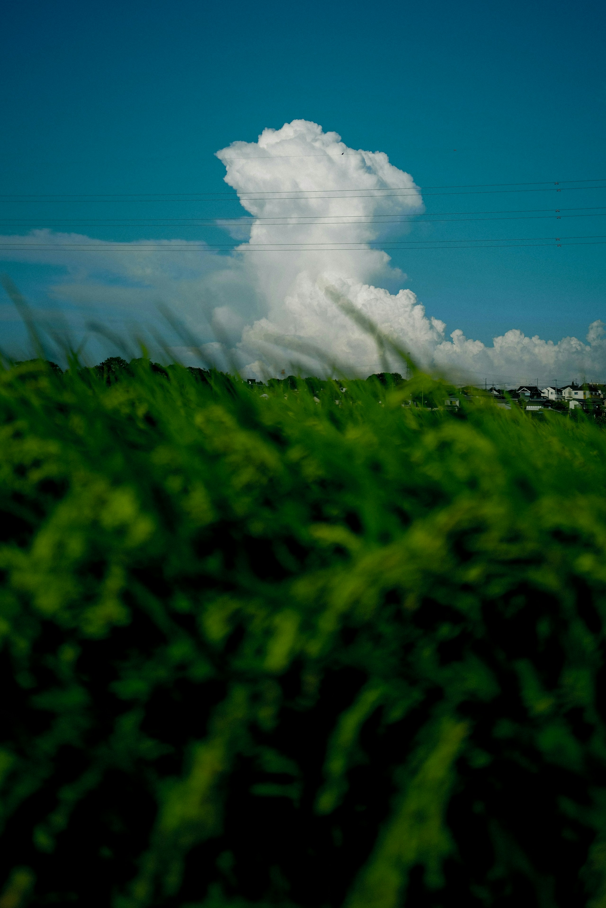 2026-08-reading-cloud-shapes-image-9