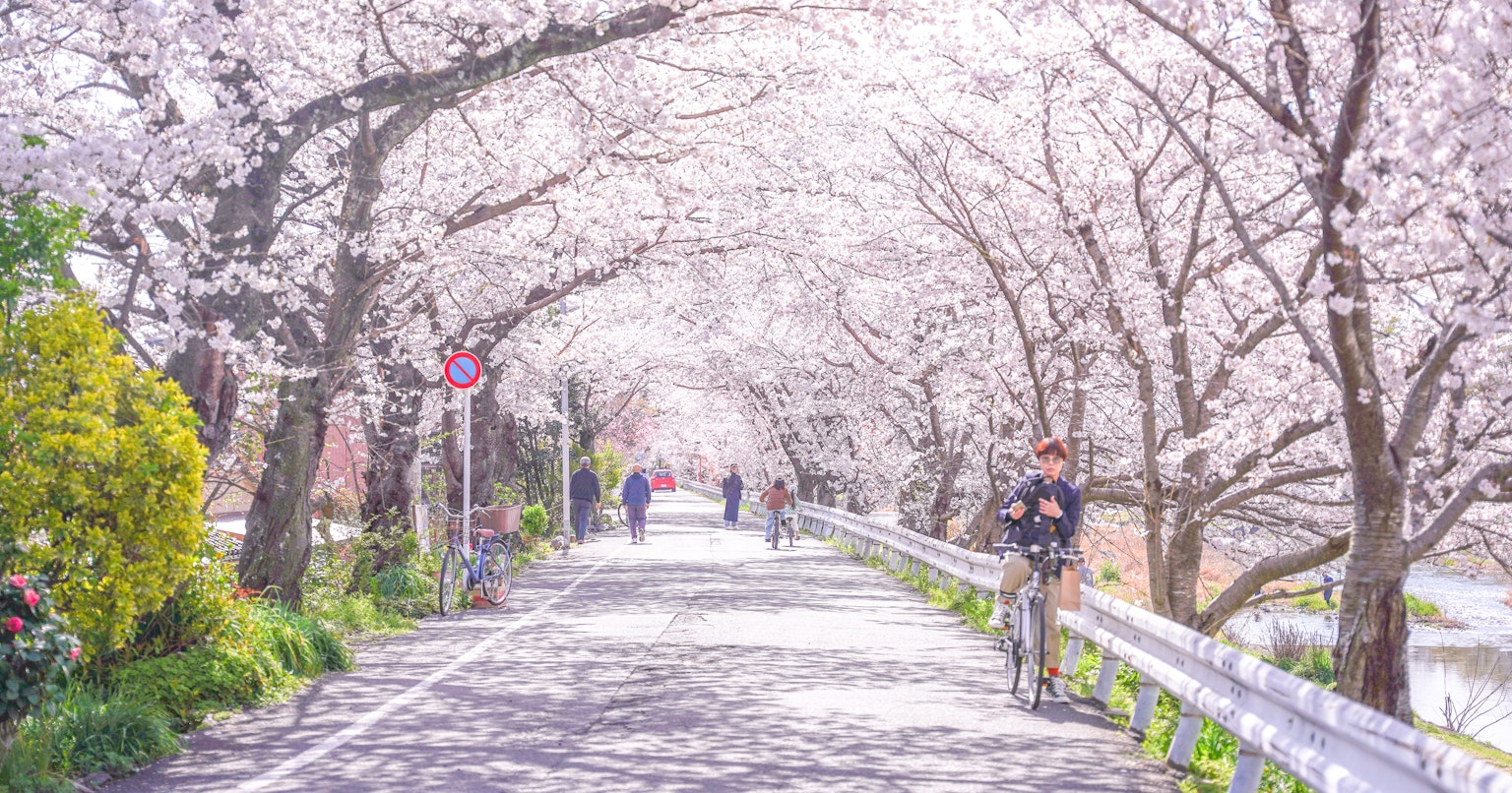 2023-05-sou-igarashi-cover-image