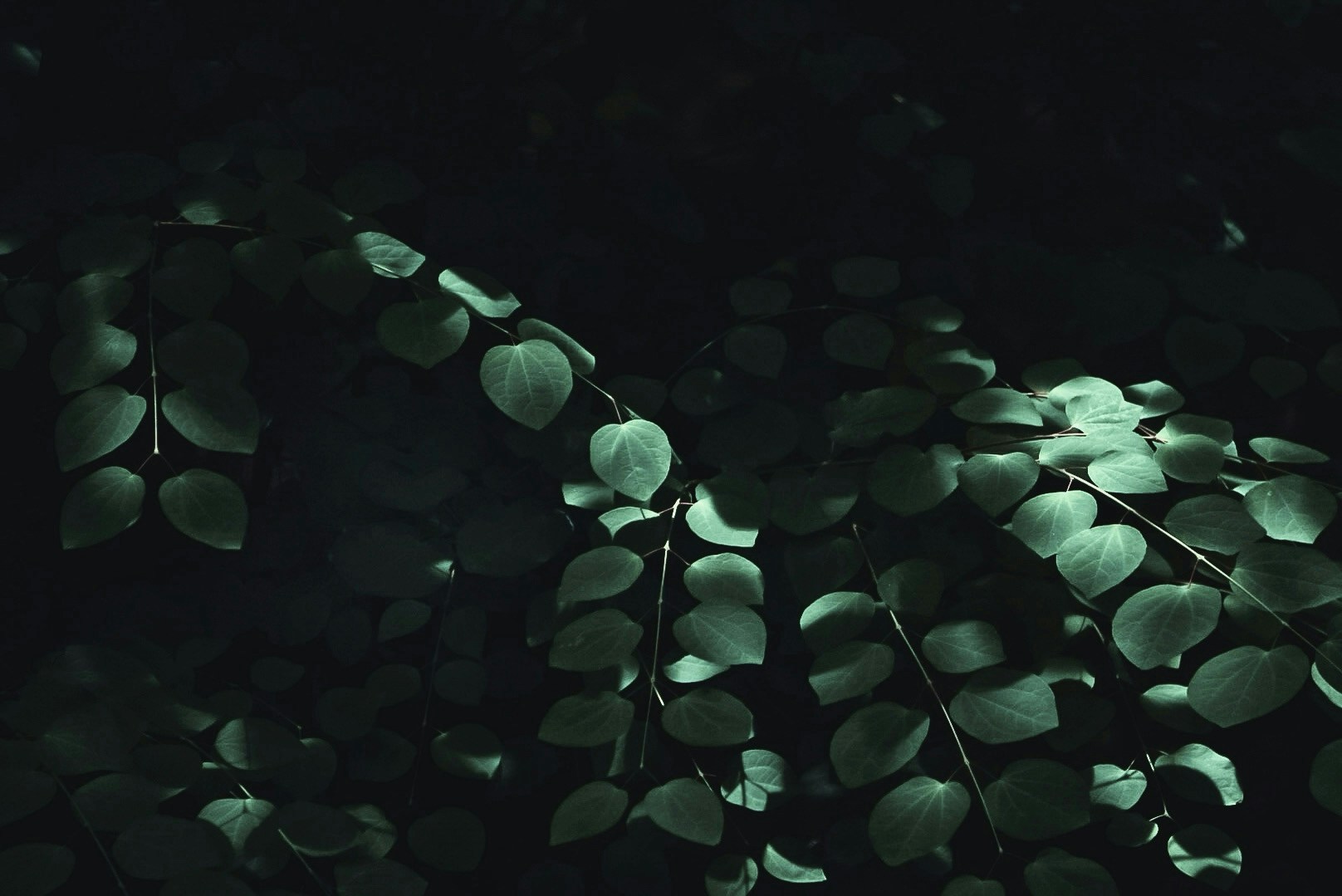 2026-06-green-hours-image-6