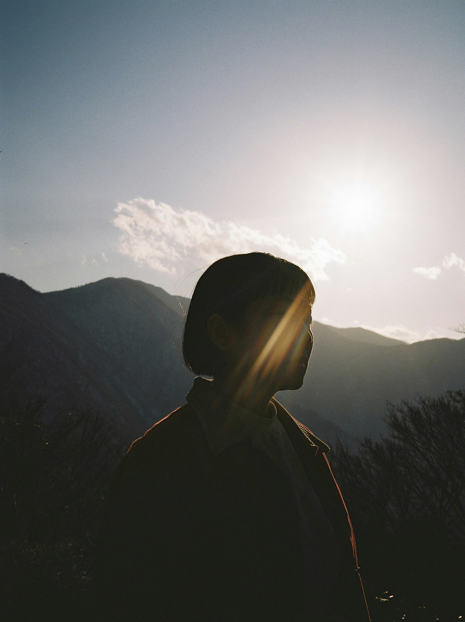 2026-04-light-image-6