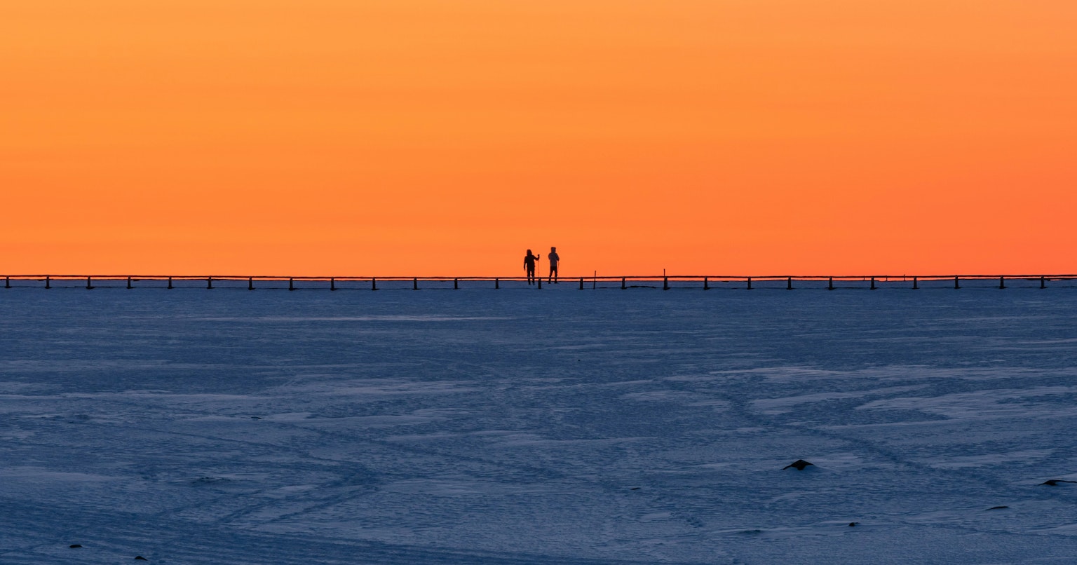 2024-11-timeless-field-cover-image