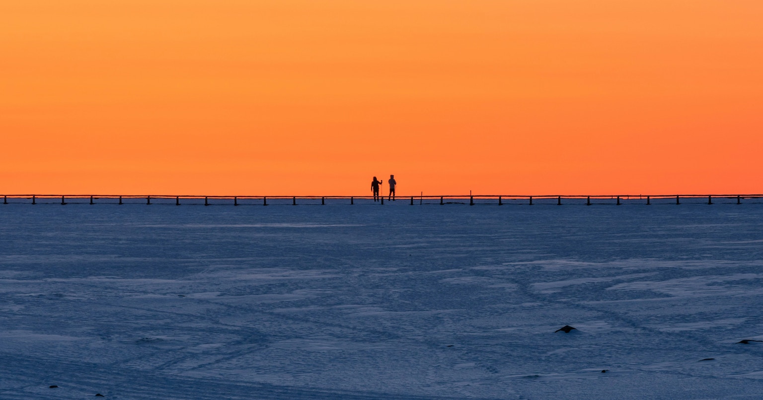 2024-11-timeless-field-cover-image