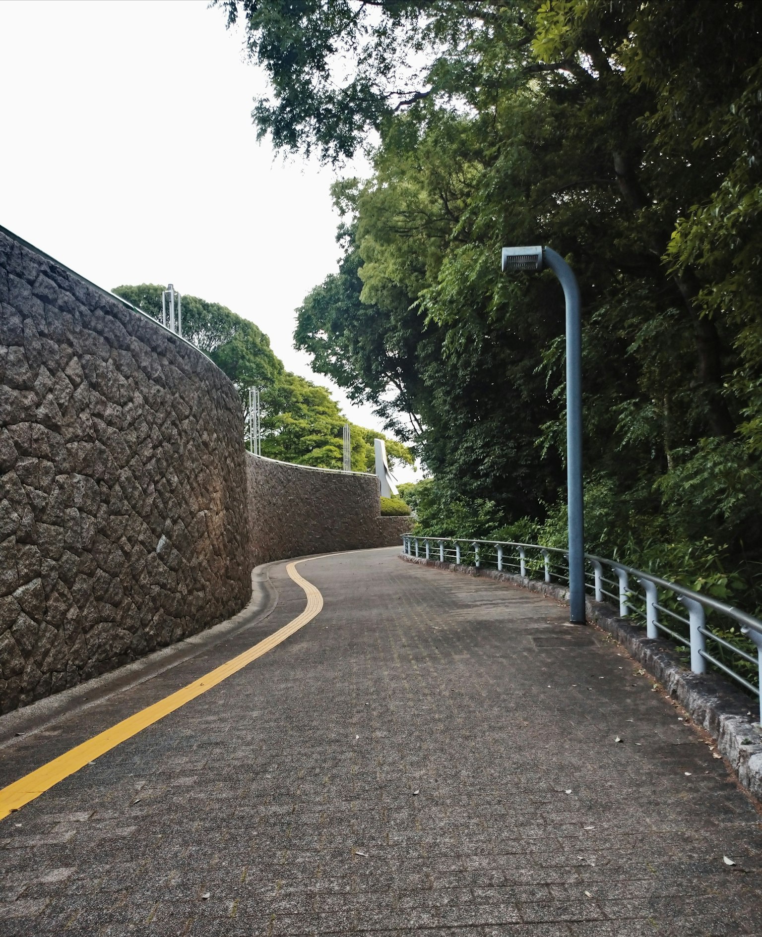 2024-09-way-we-wander-image-18