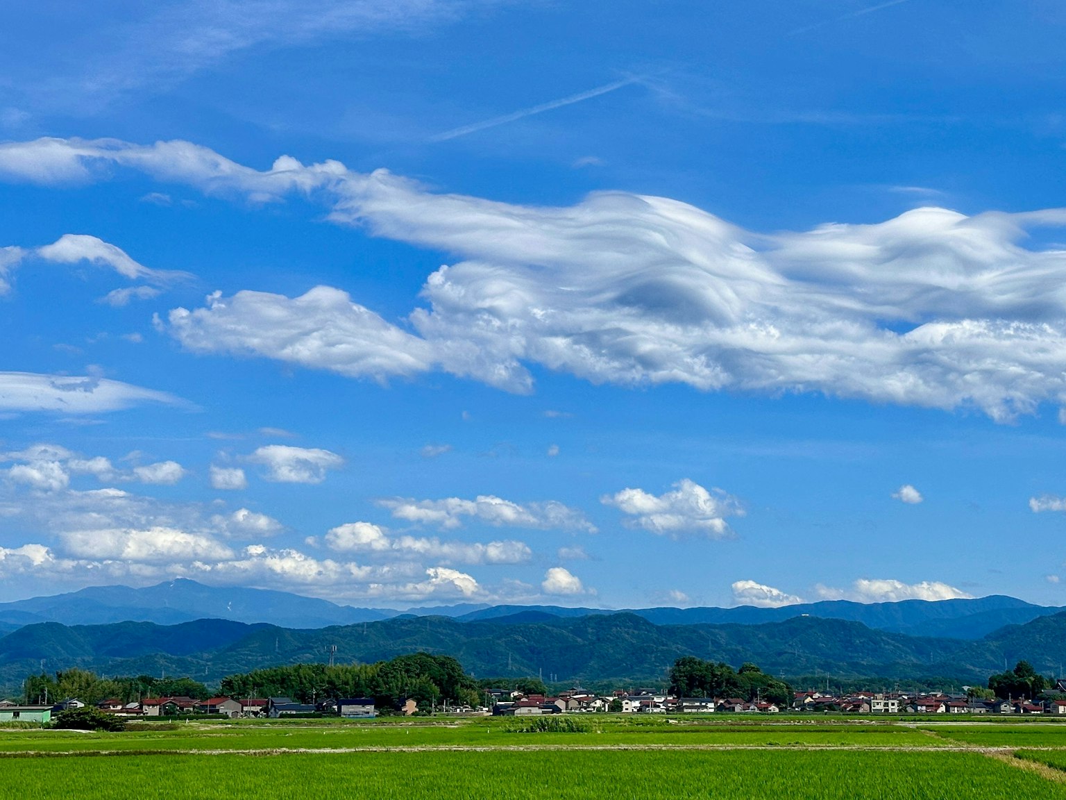 2025-04-color-temperature-white-balance-image-12