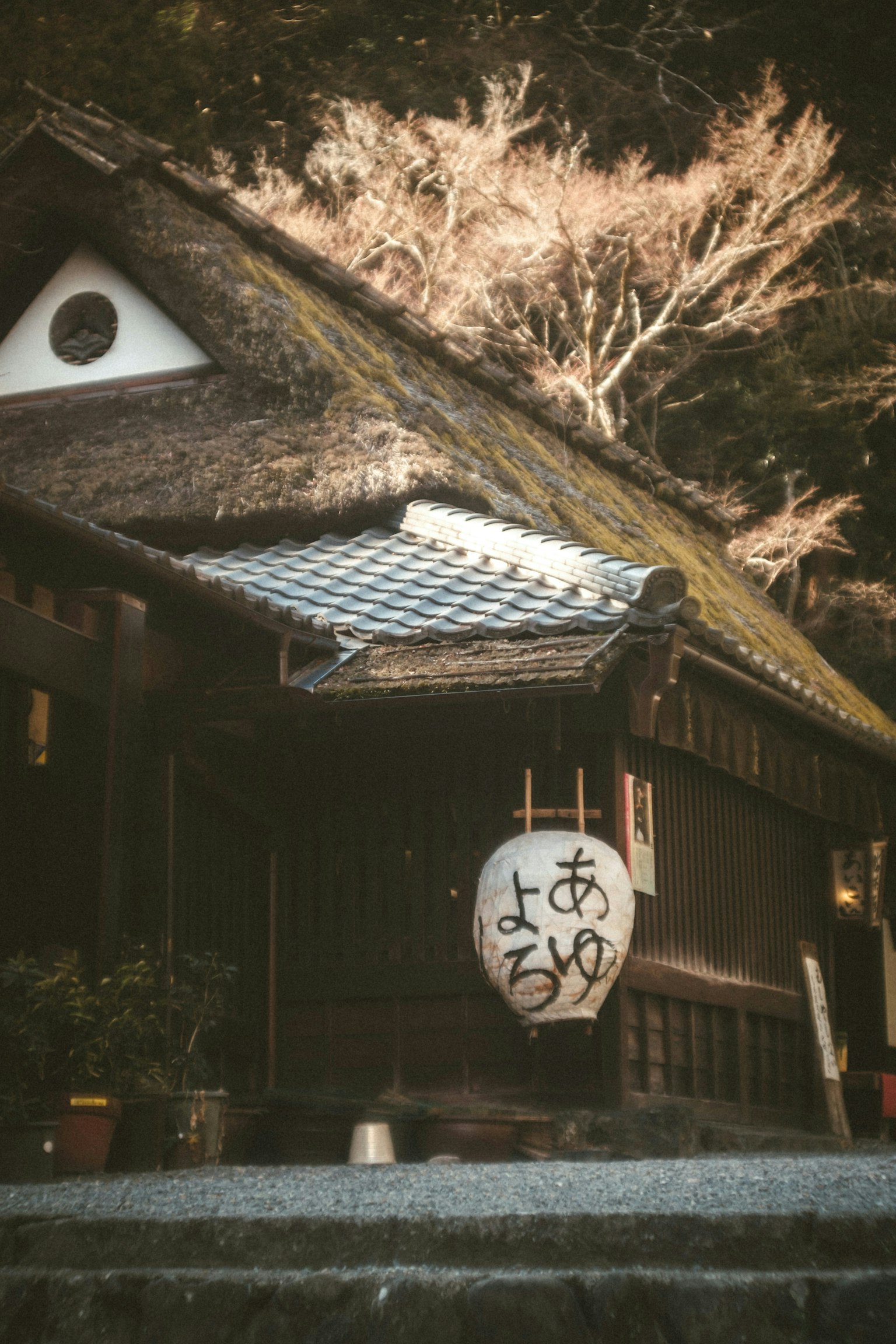 2025-03-tks-leica-summarit-50mm-memories-image-19