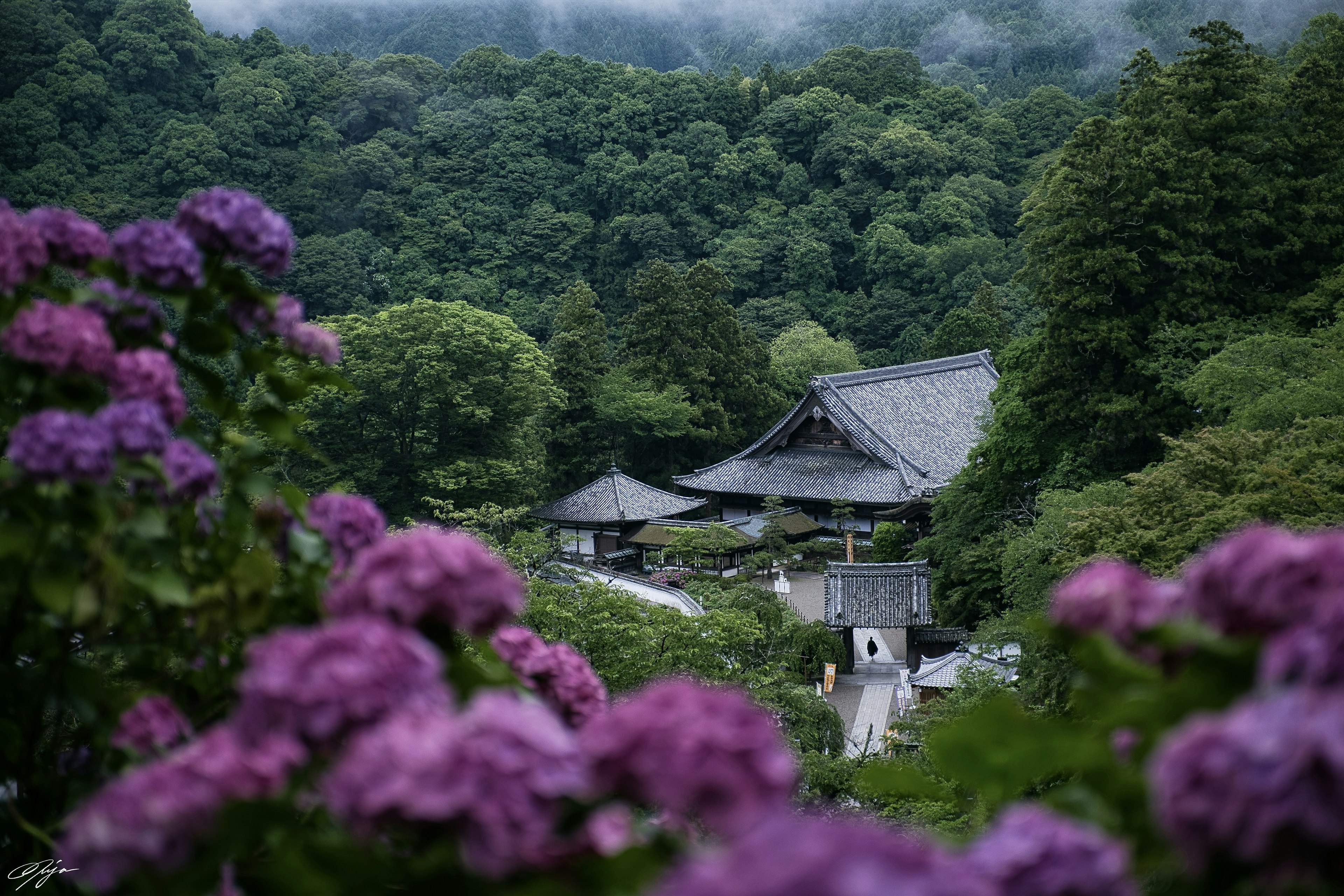 2024-06-kamakura-image-7