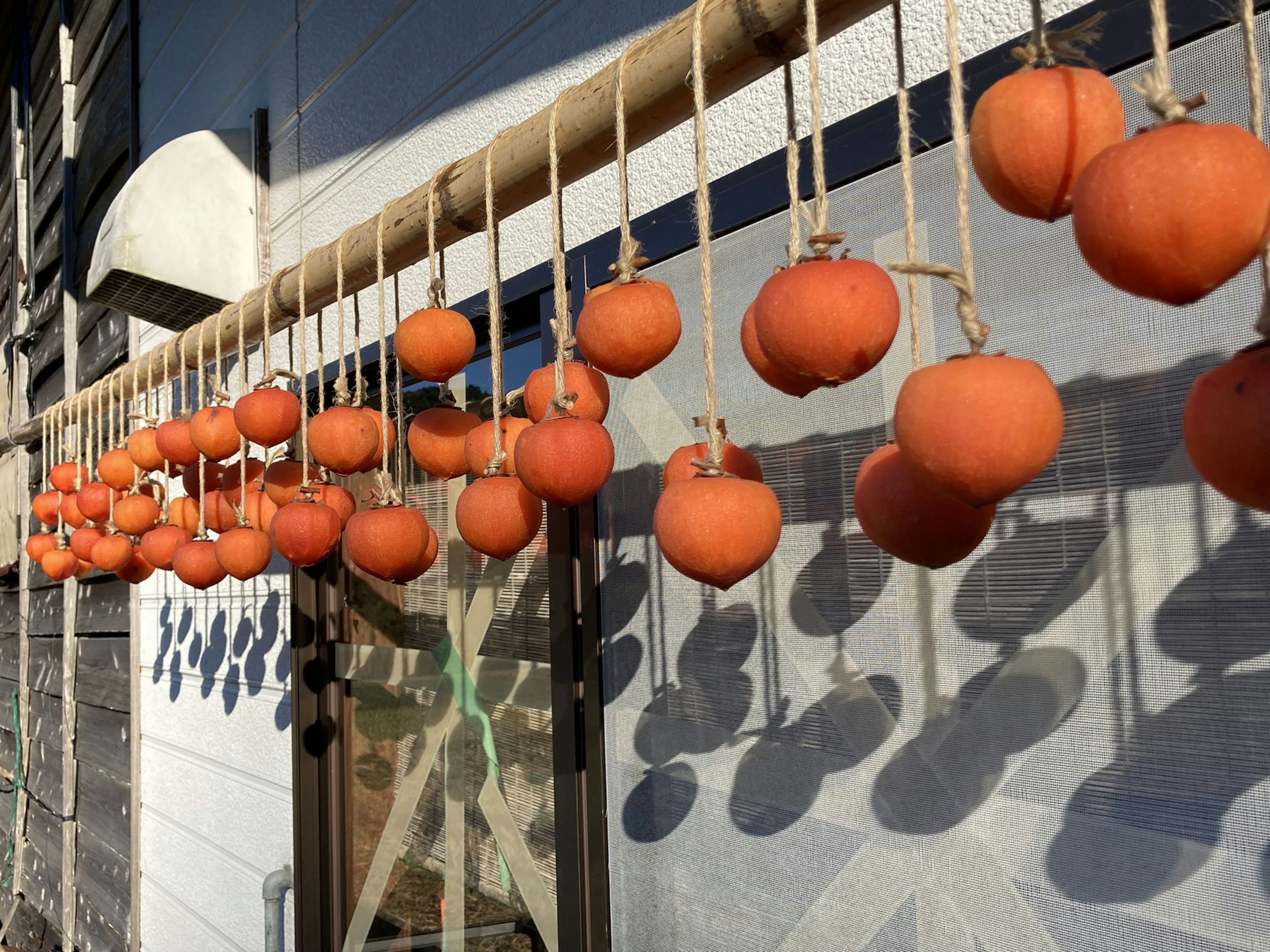 2024-05-japanese-color-image-12
