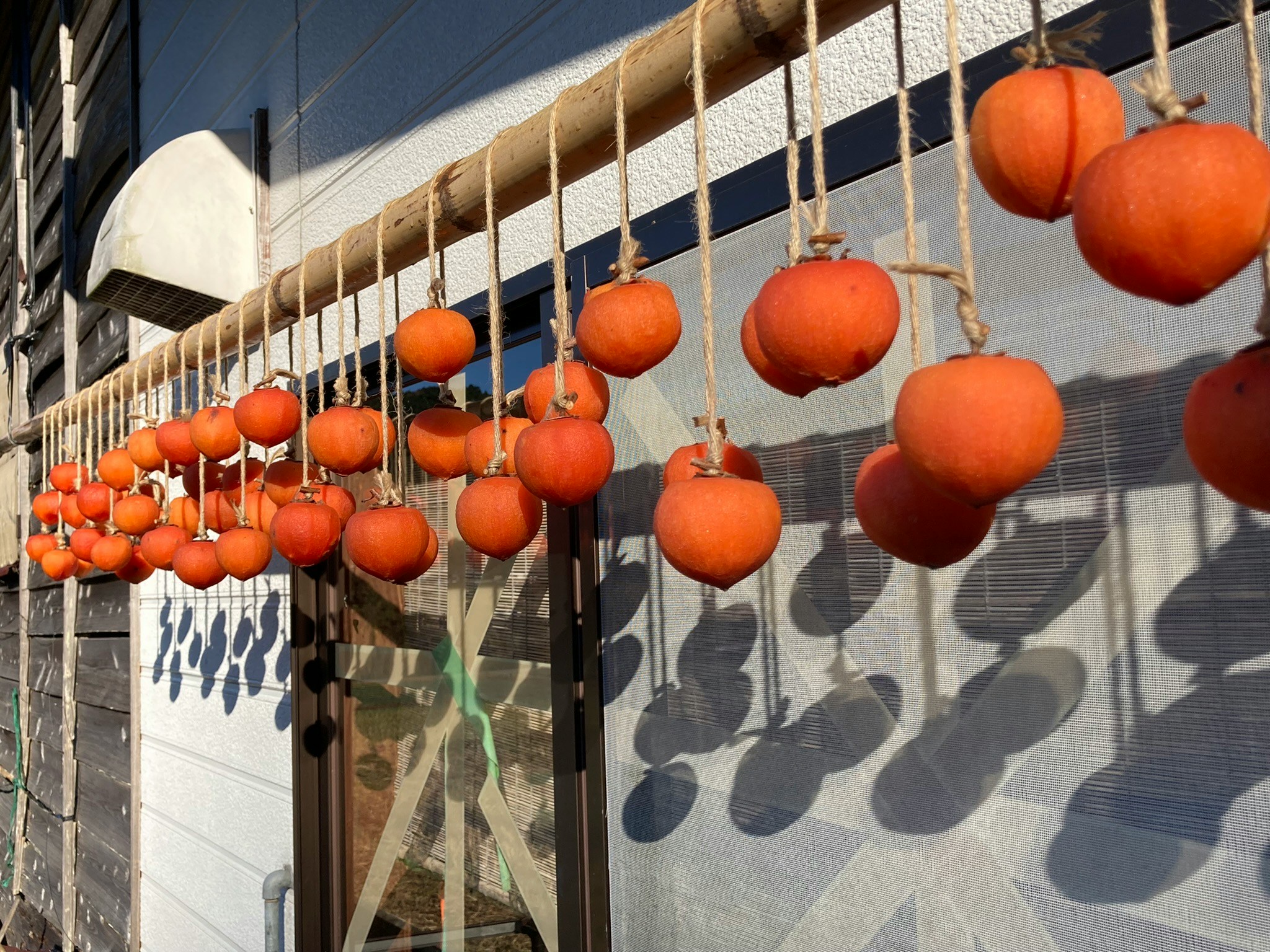 2024-05-japanese-color-image-12