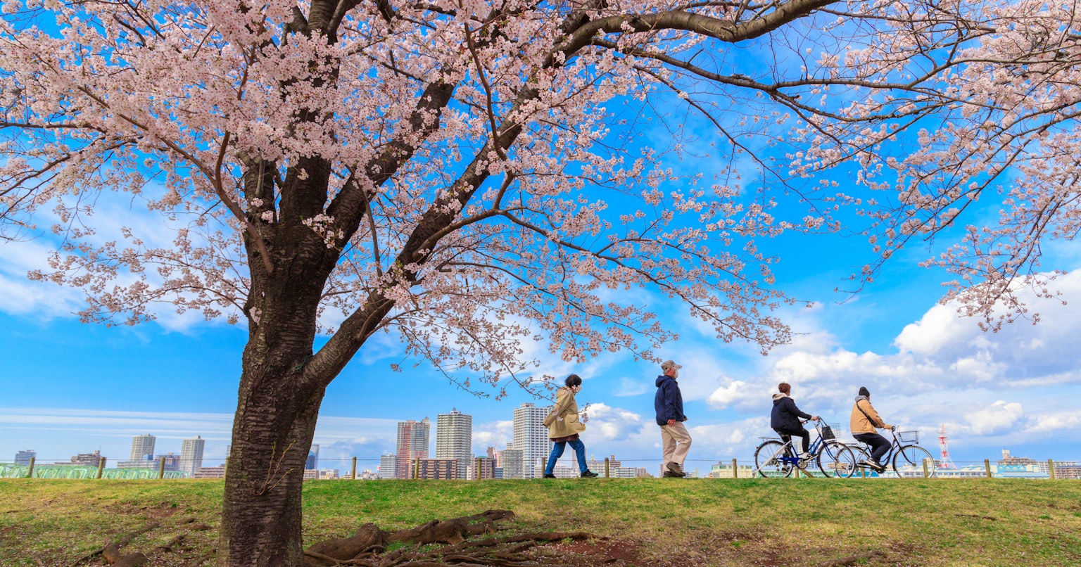 2024-04-picks-news-2-cover-image