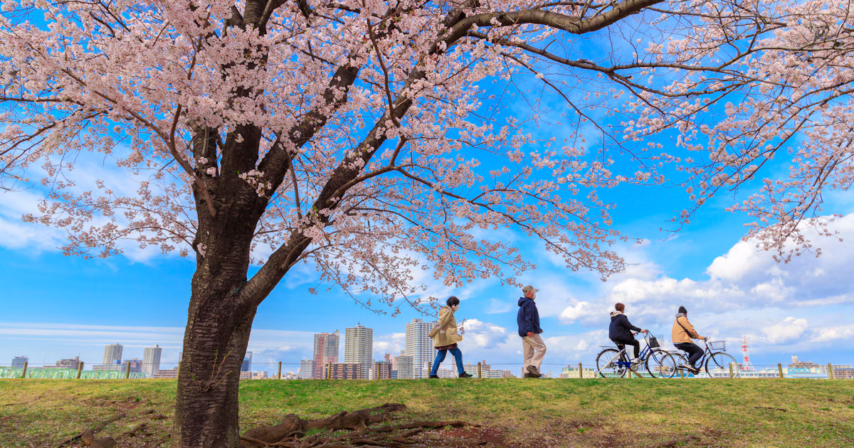 Une journée heureuse avec une promenade photo printanière | Release #101