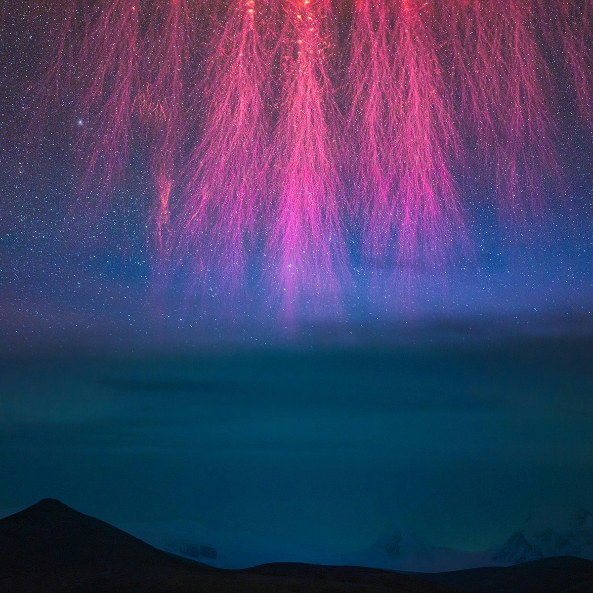 ©︎ Angel An, "Grand Cosmic Fireworks"