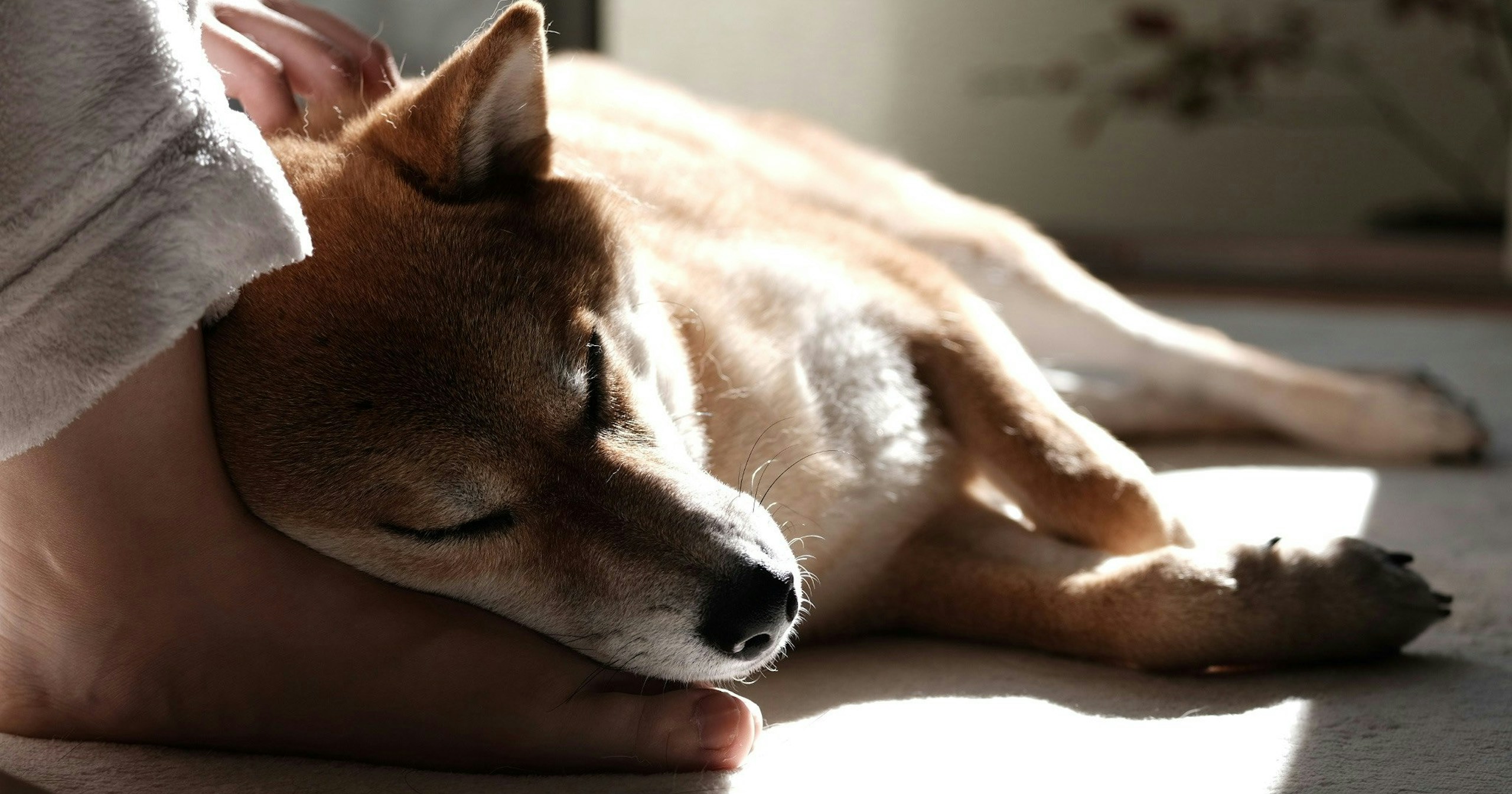 #relax | Capturing Your Moments of Calm | Focus #512