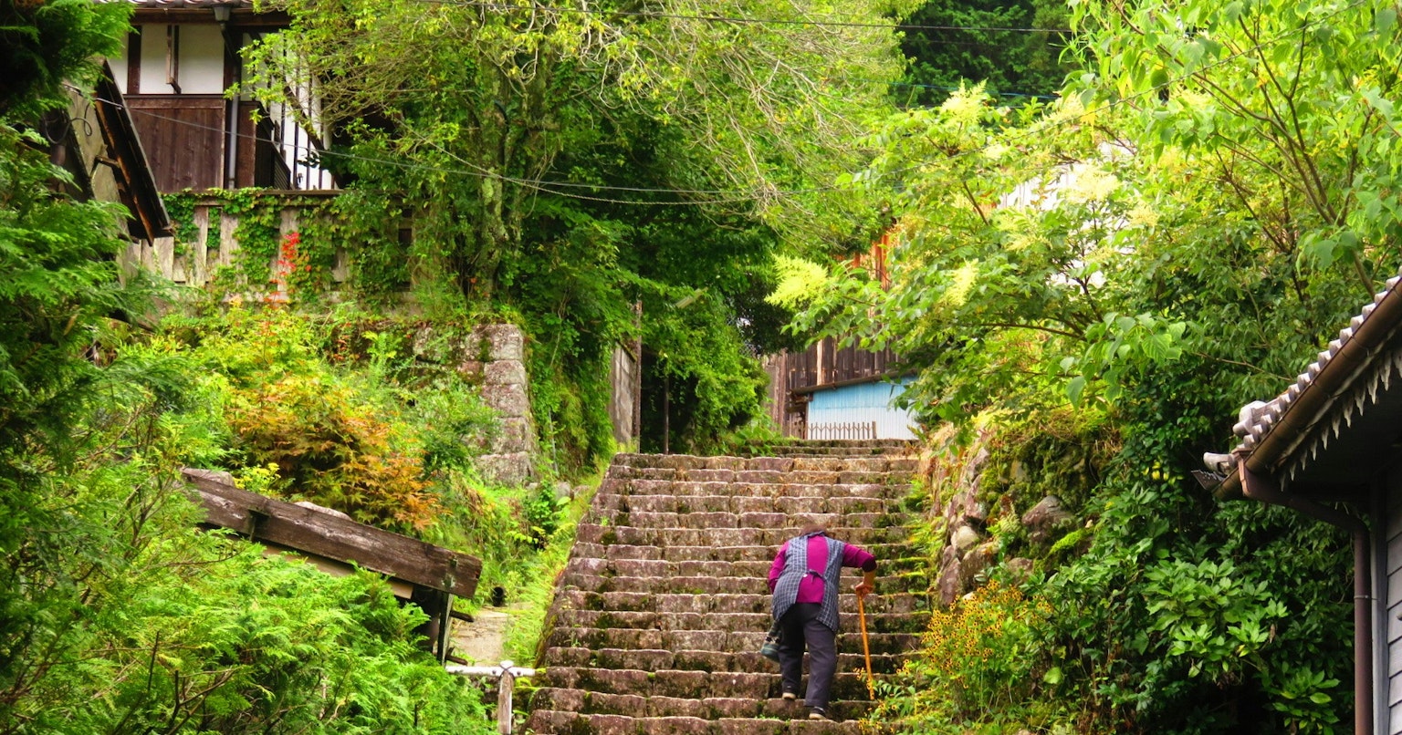 2025-03-steps-of-life-cover-image