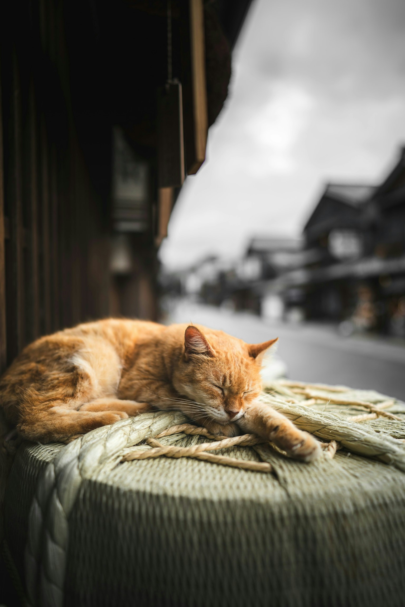 2024-12-december-diary-image-12