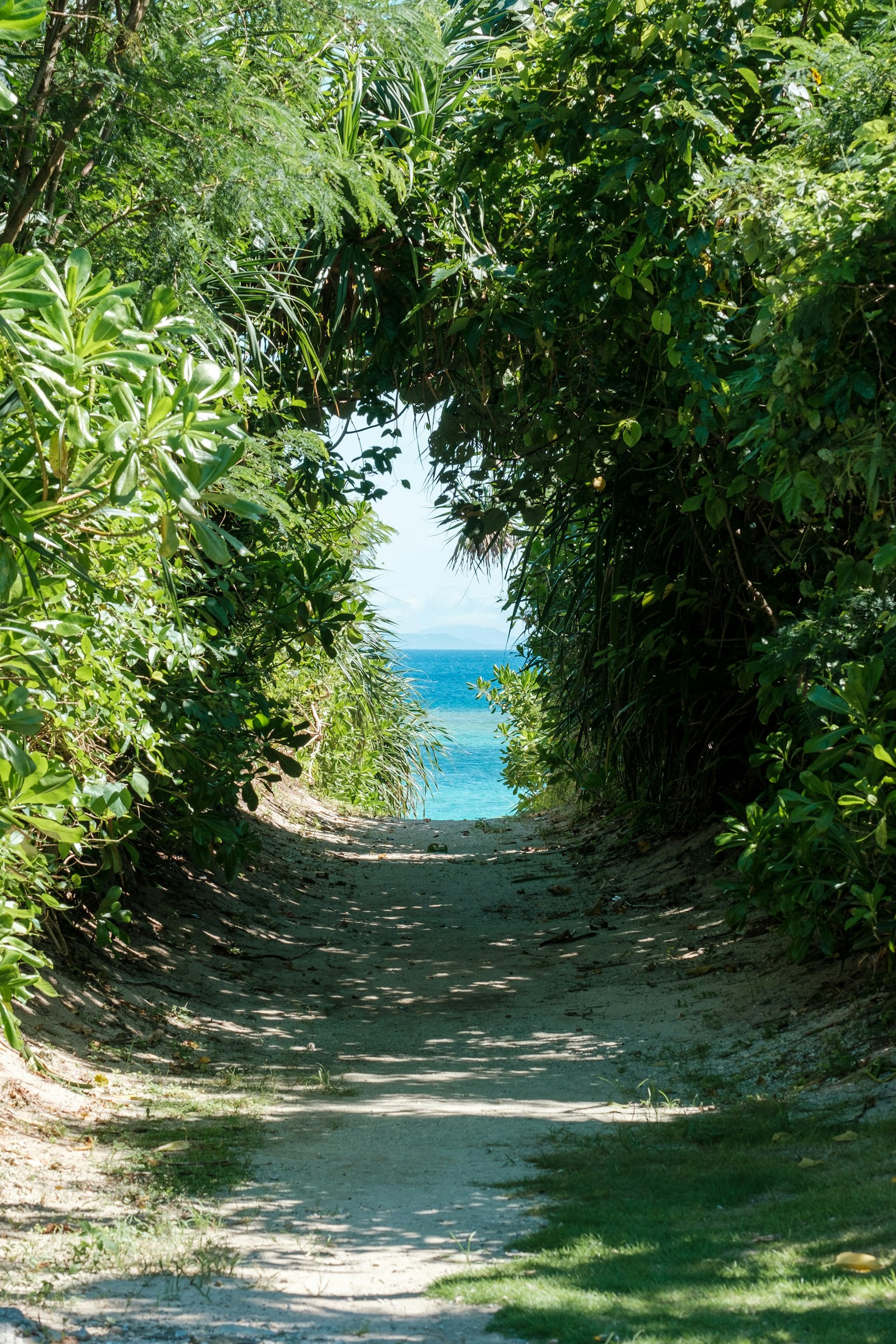 2024-10-frame-composition-image-9